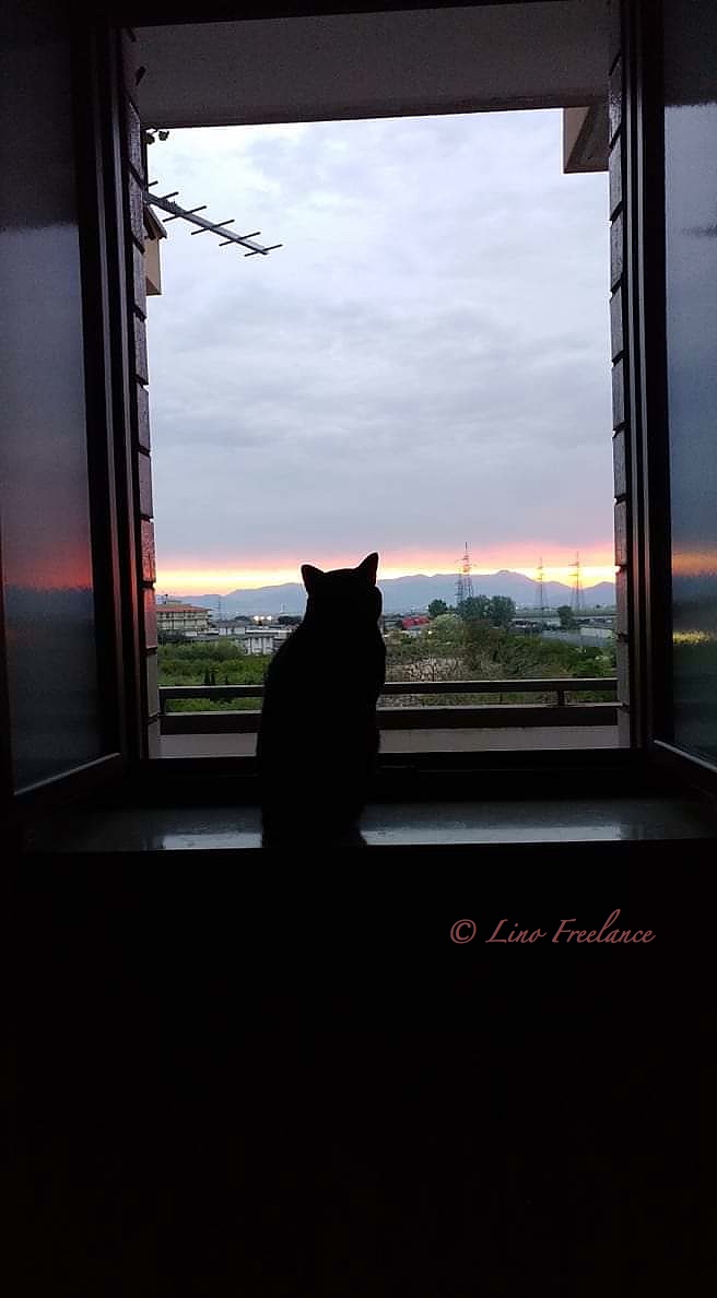 In attesa che tutto passi.