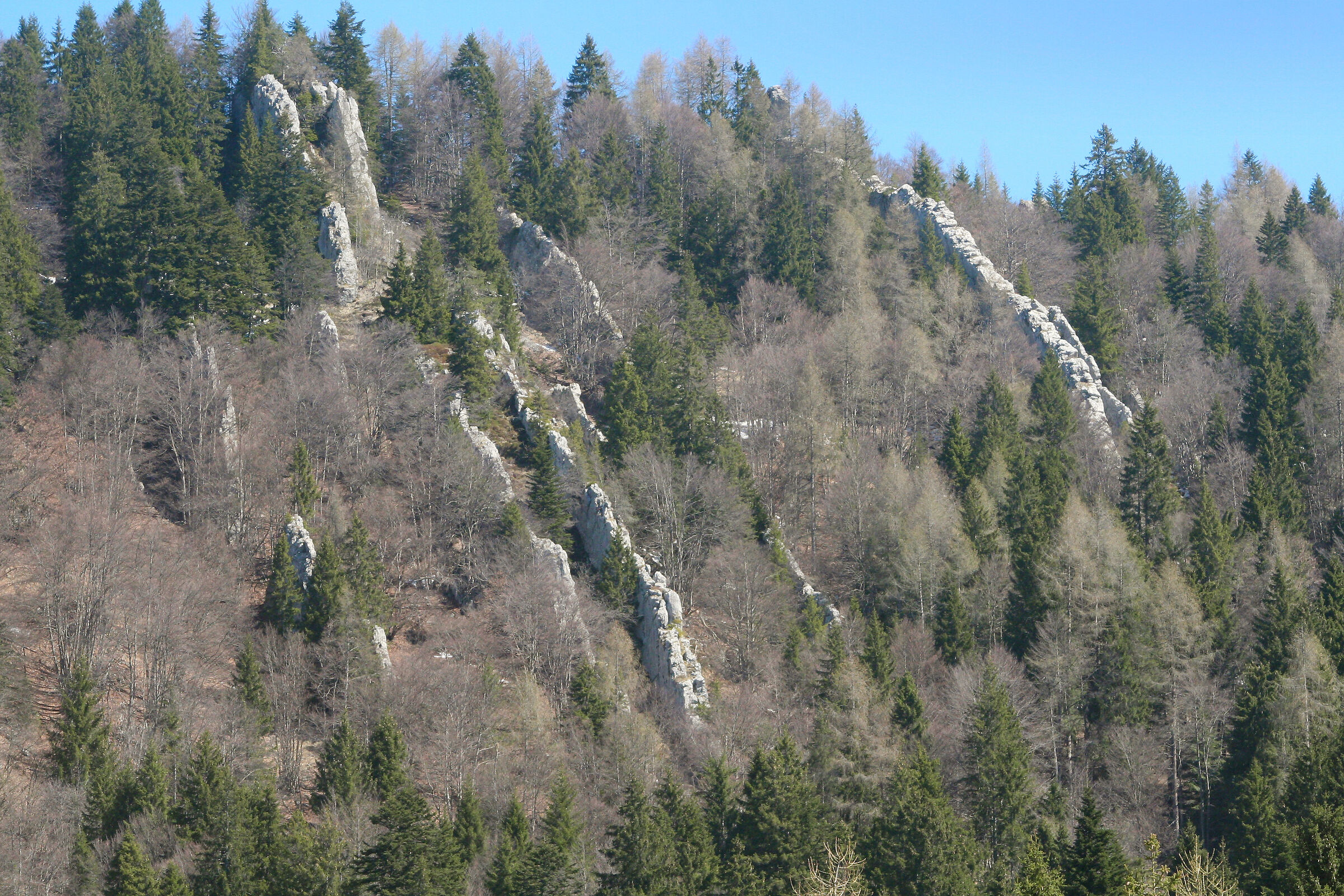 Geological formations between Malga Ringia and Malga Pura