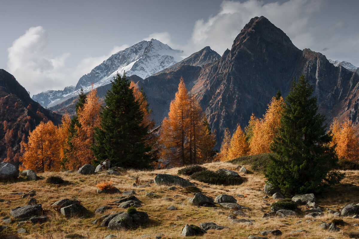 Al cospetto dell'Adamello ...