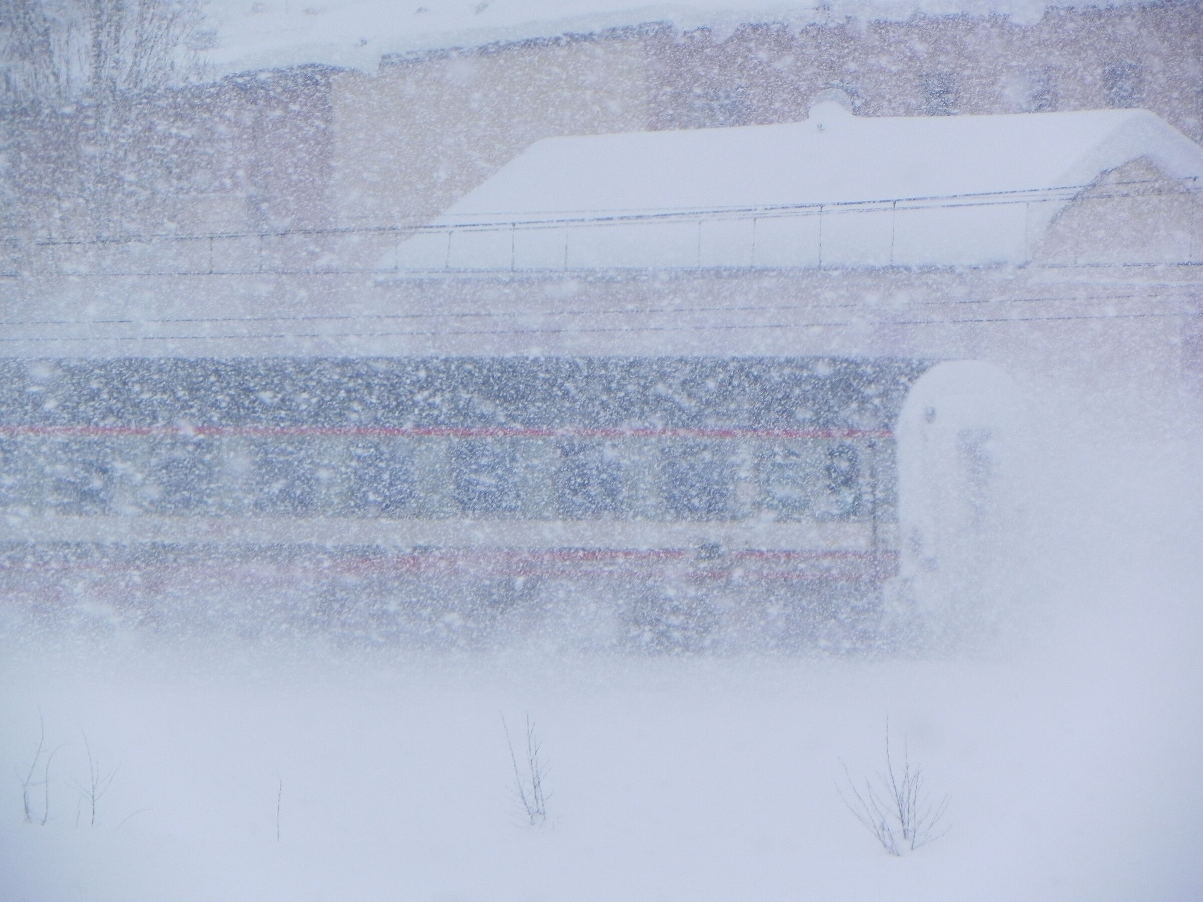 Trainandsnow