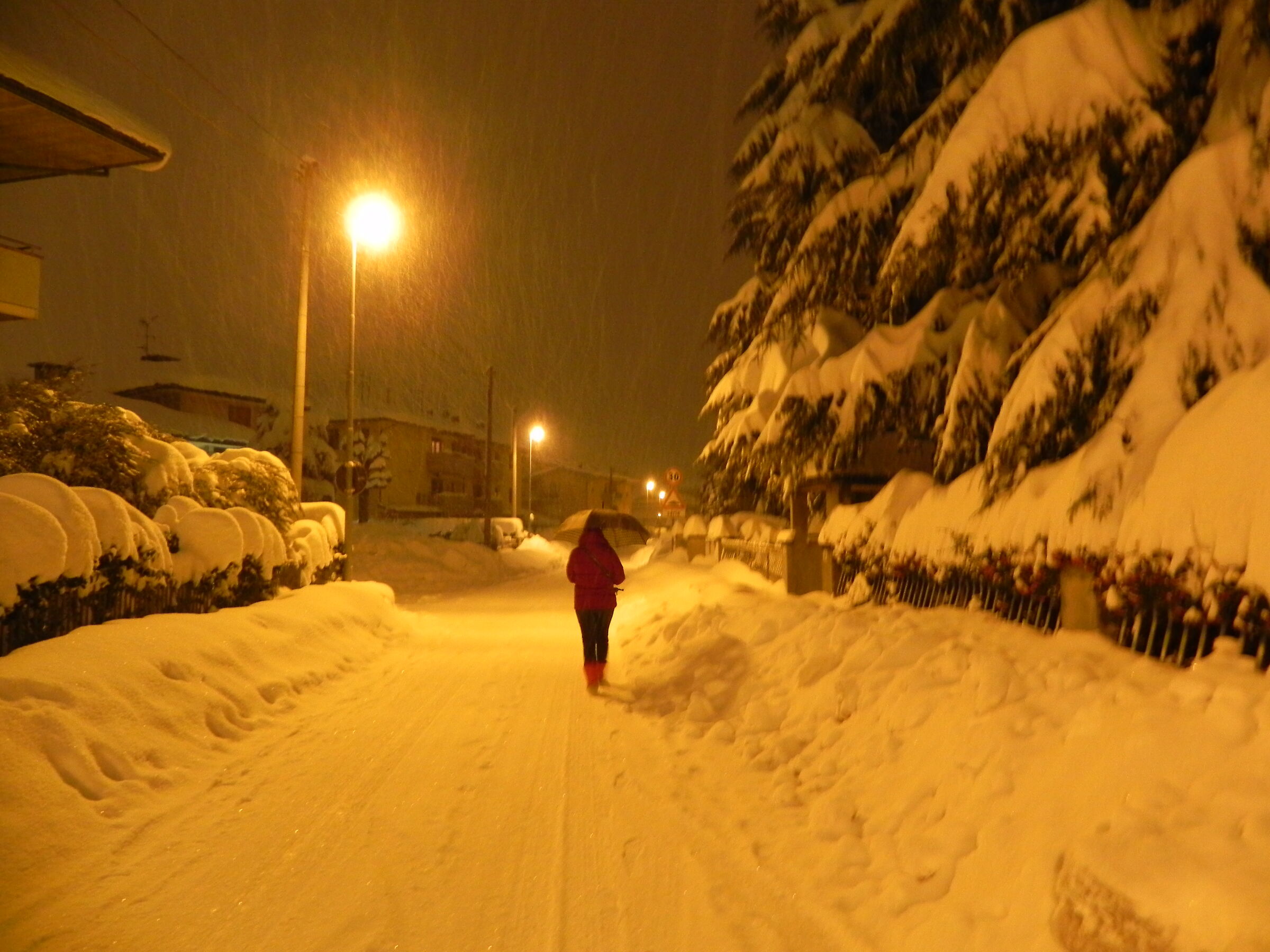 Passeggiata nel gelo