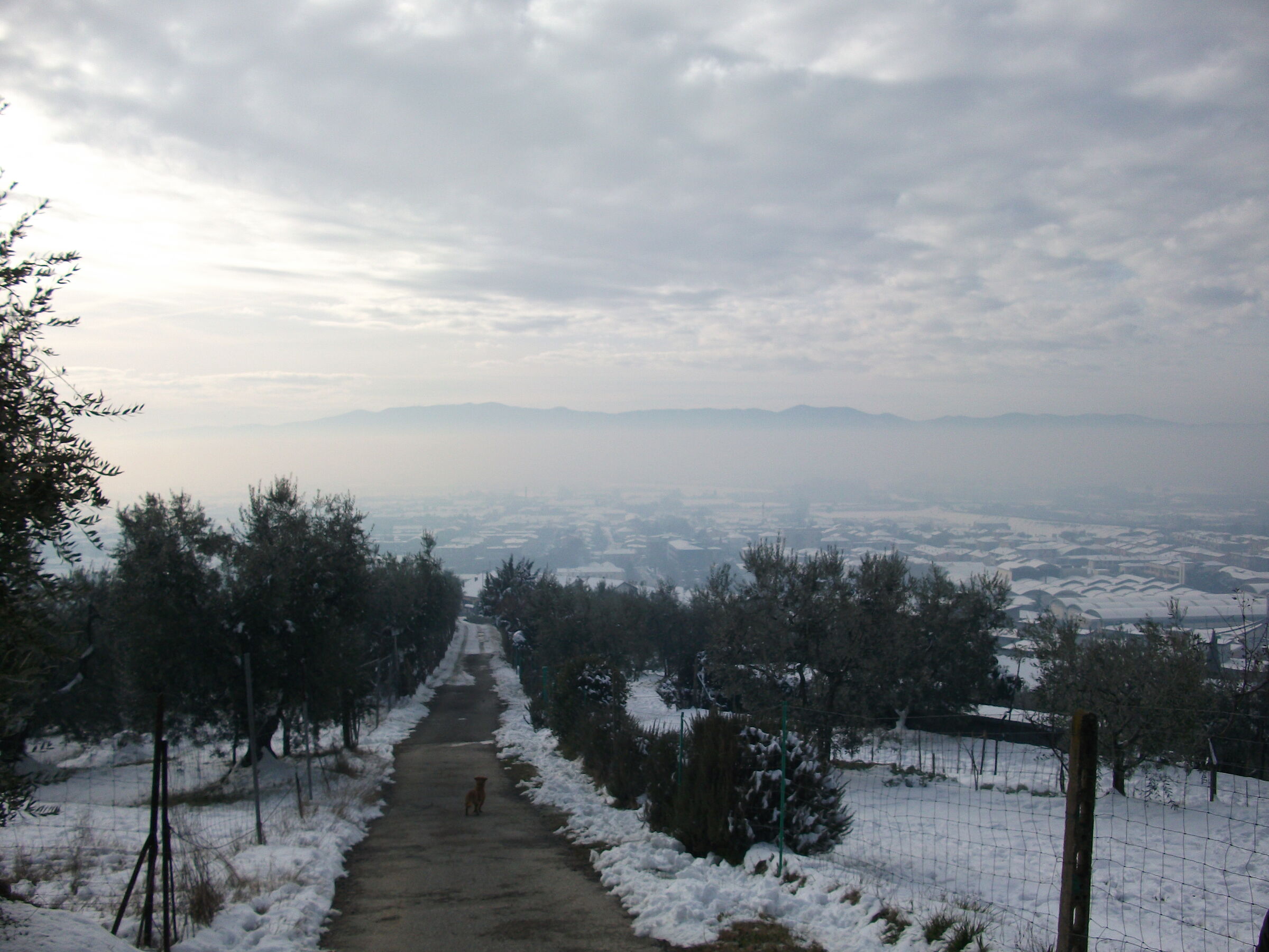 Colline toscane 2