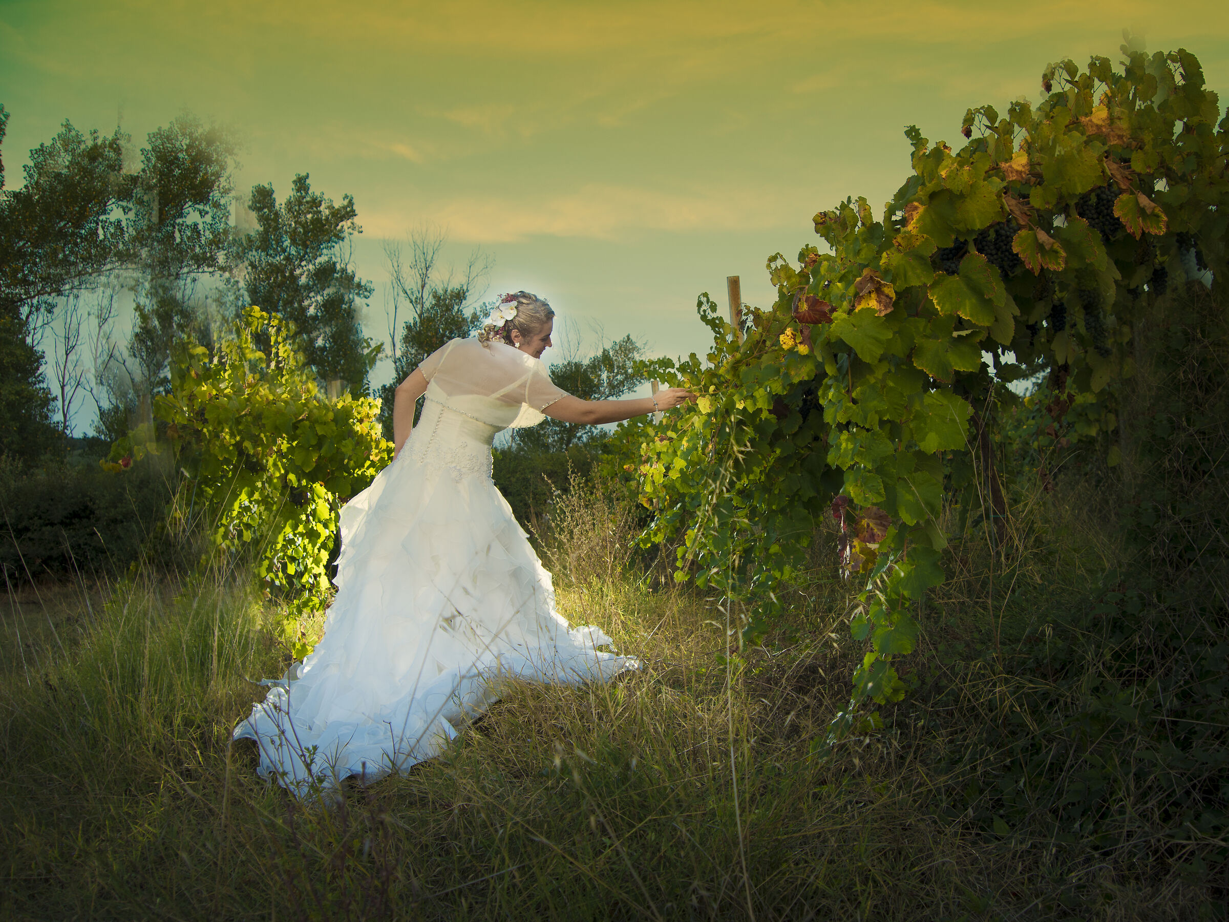 matrimonio reggio -e-