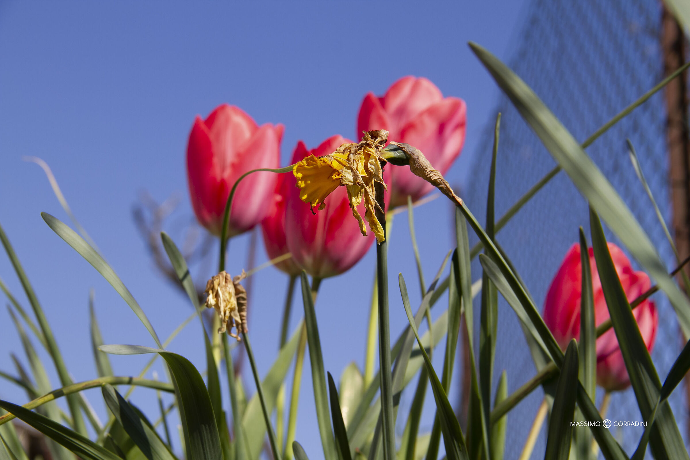 we will flourish again....