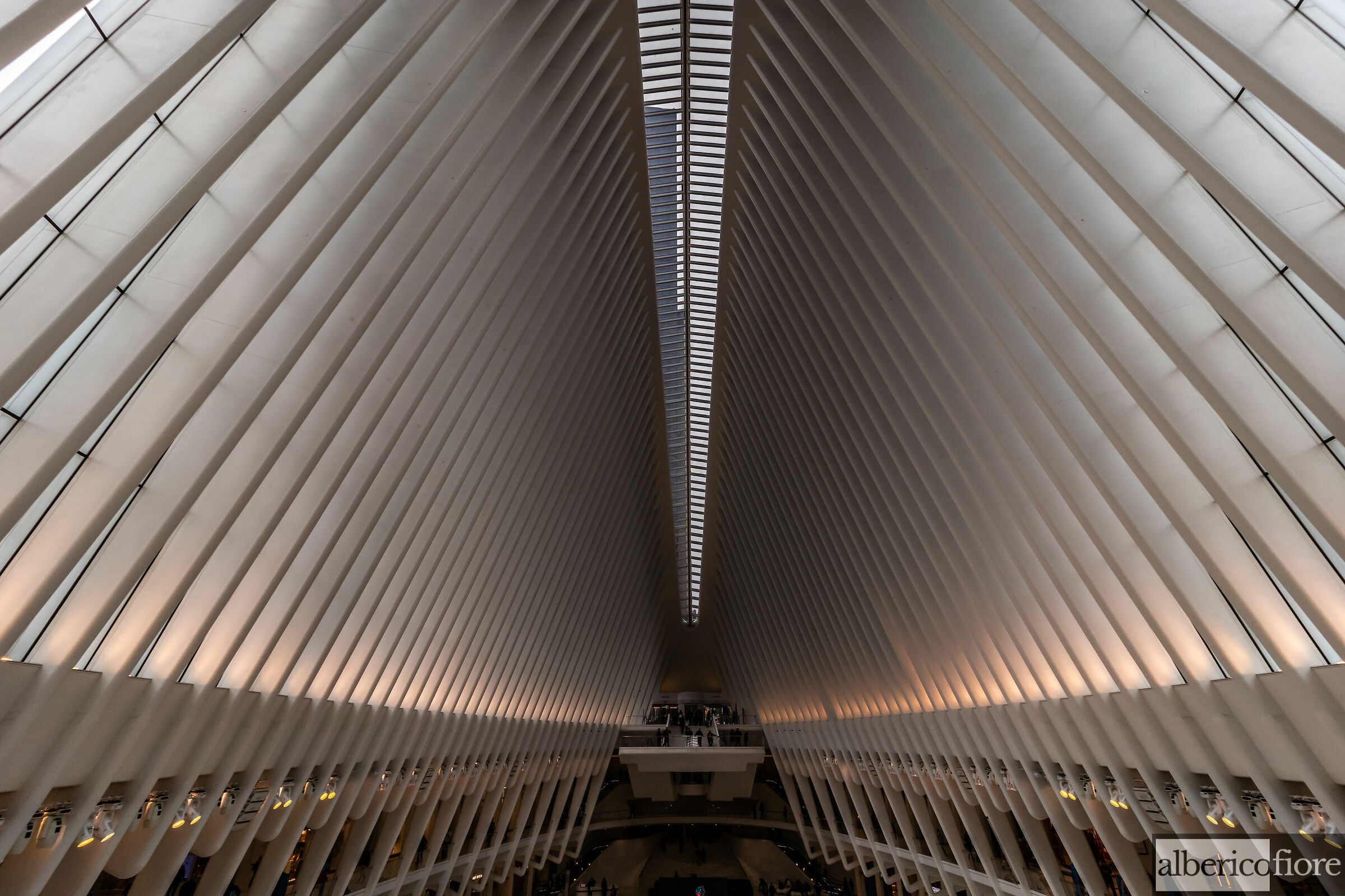 Oculus - New York