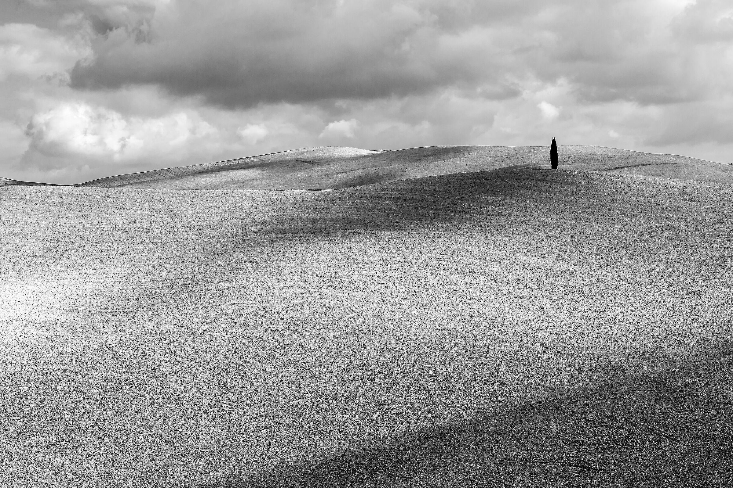 solitary in the Crete Siena