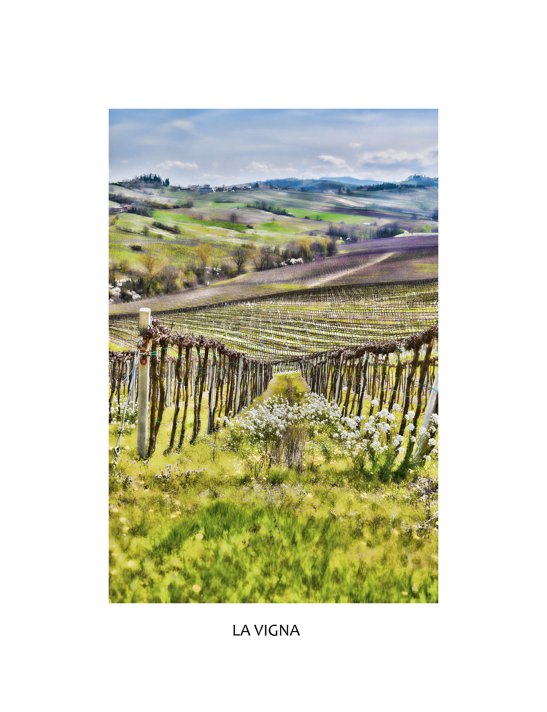 la vigna