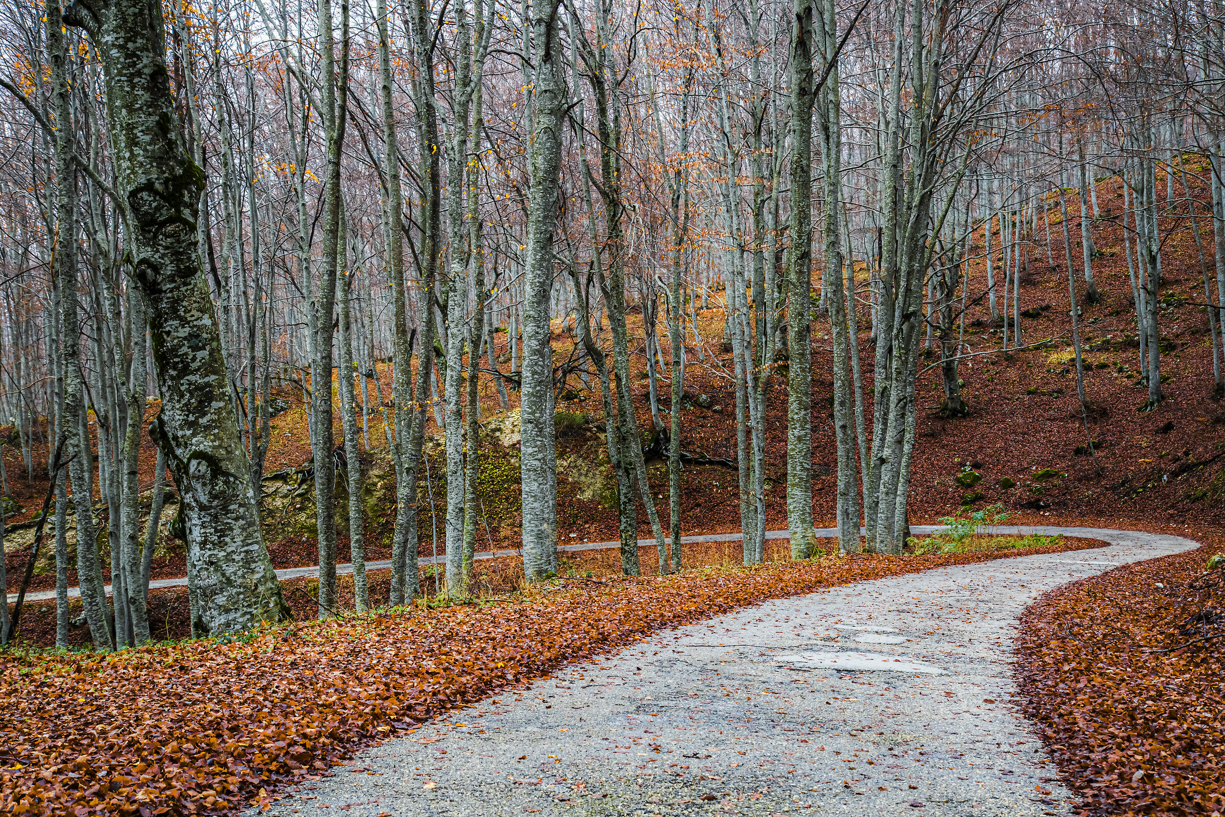 Autunno a Lama Bianca