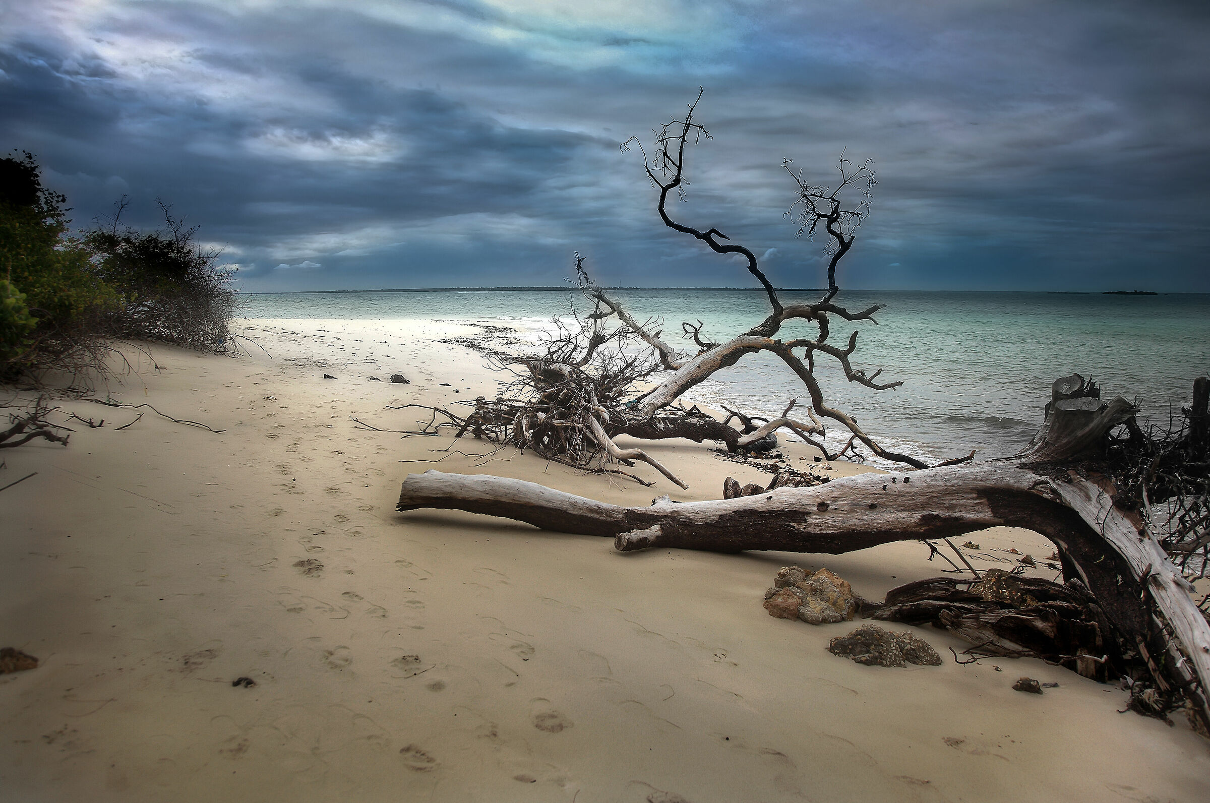 Zanzibar, into the Wild