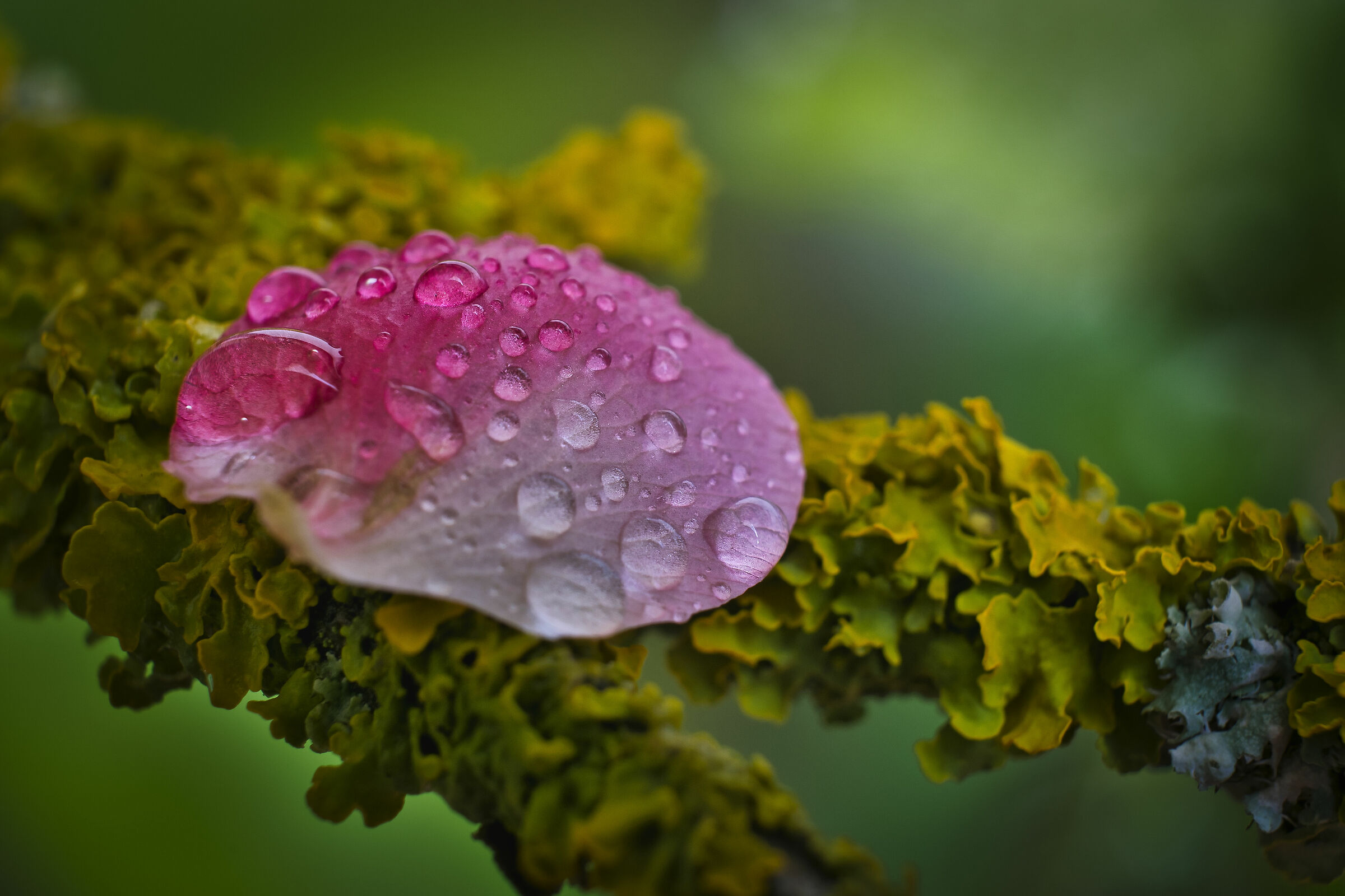 The beauties of a closed world 2.