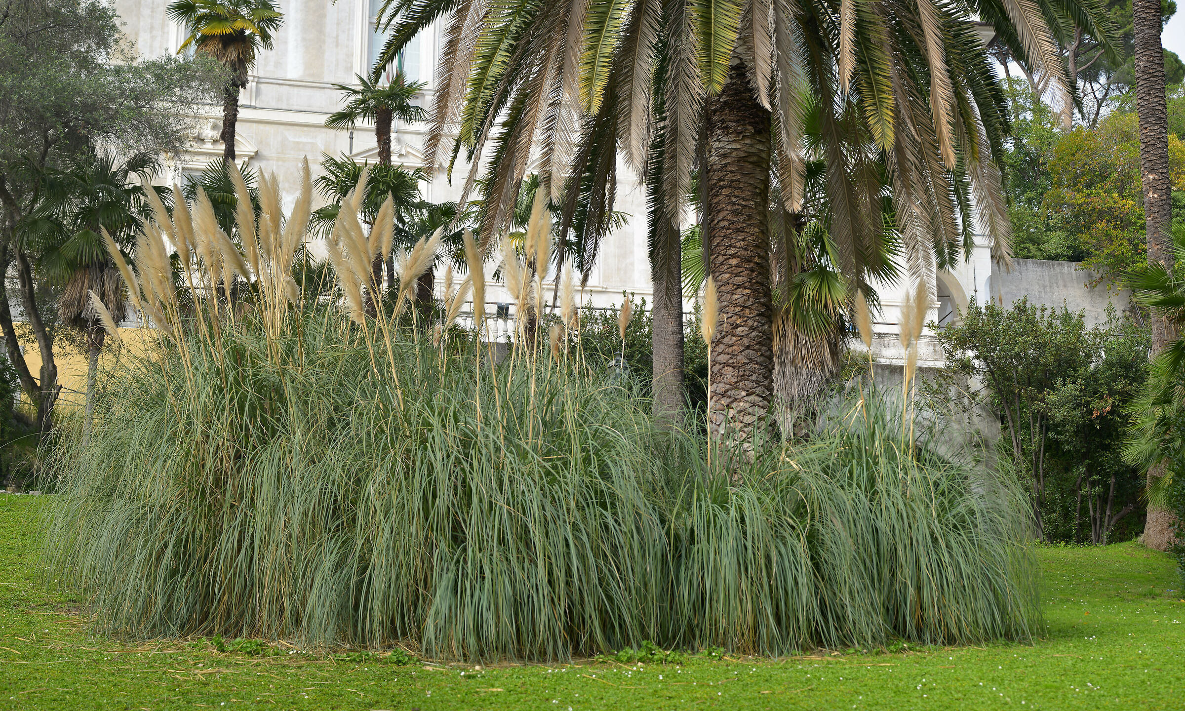 Arenzano, Municipal Garden