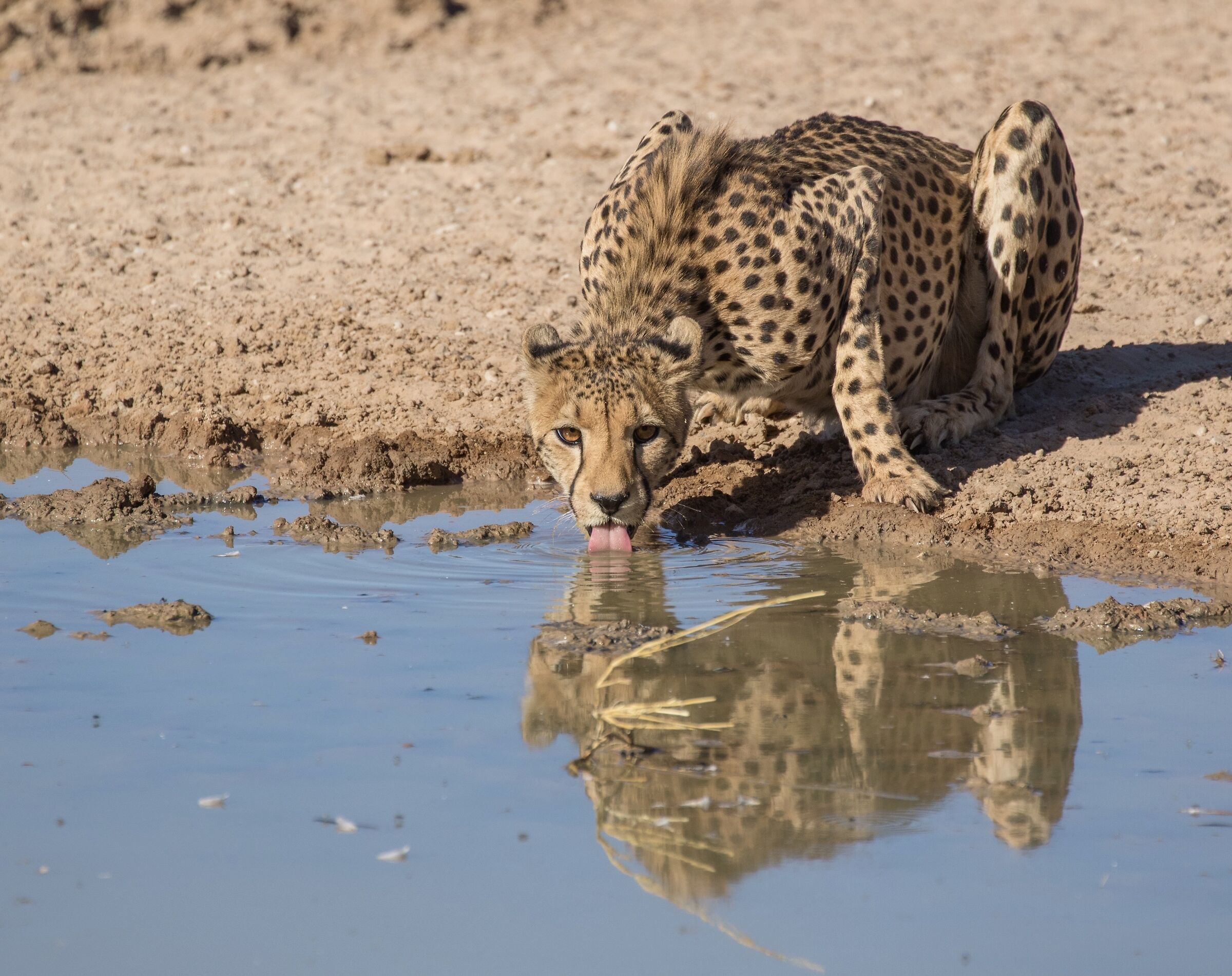 Let's look into each other's eyes