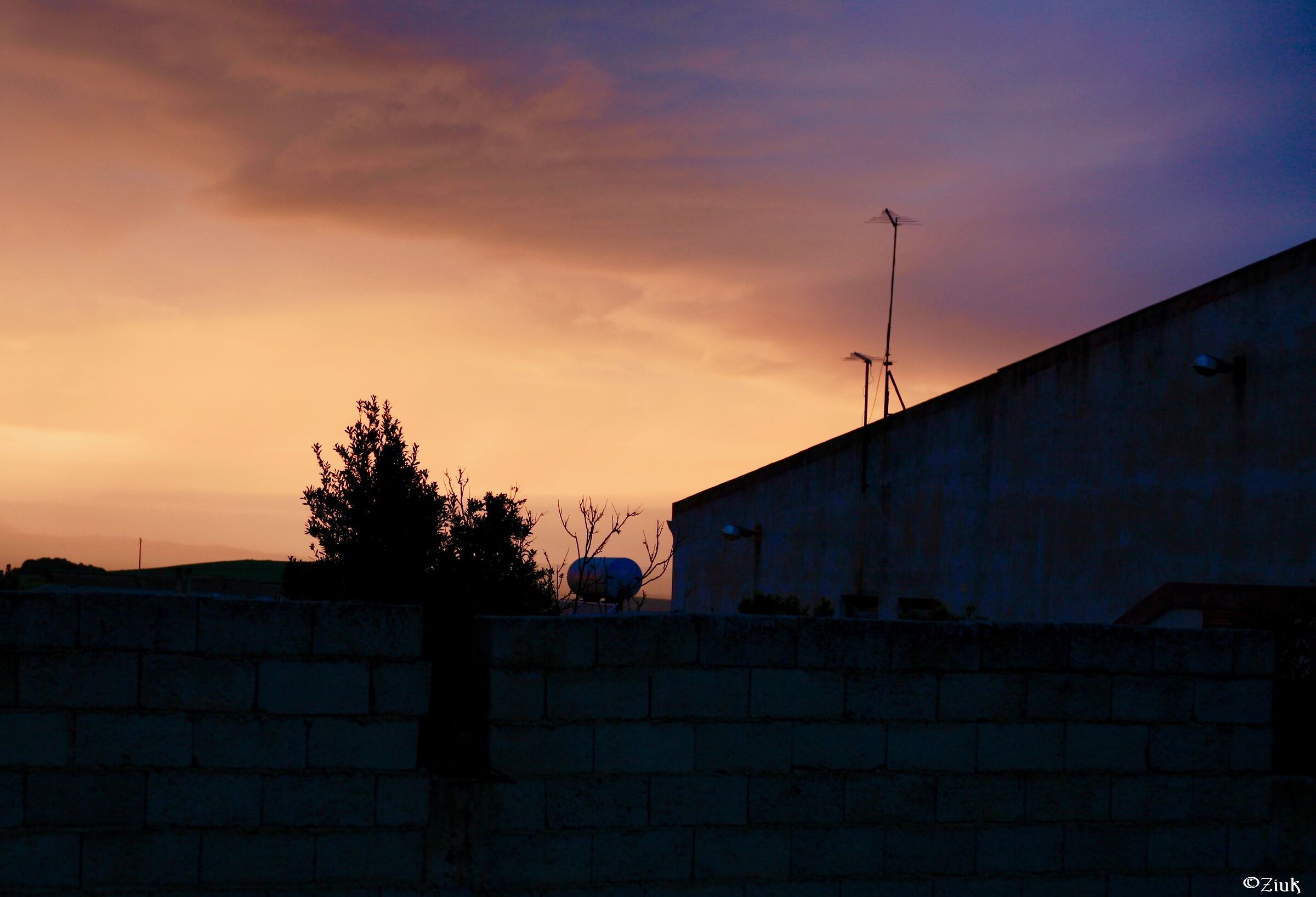 Sunset from the courtyard