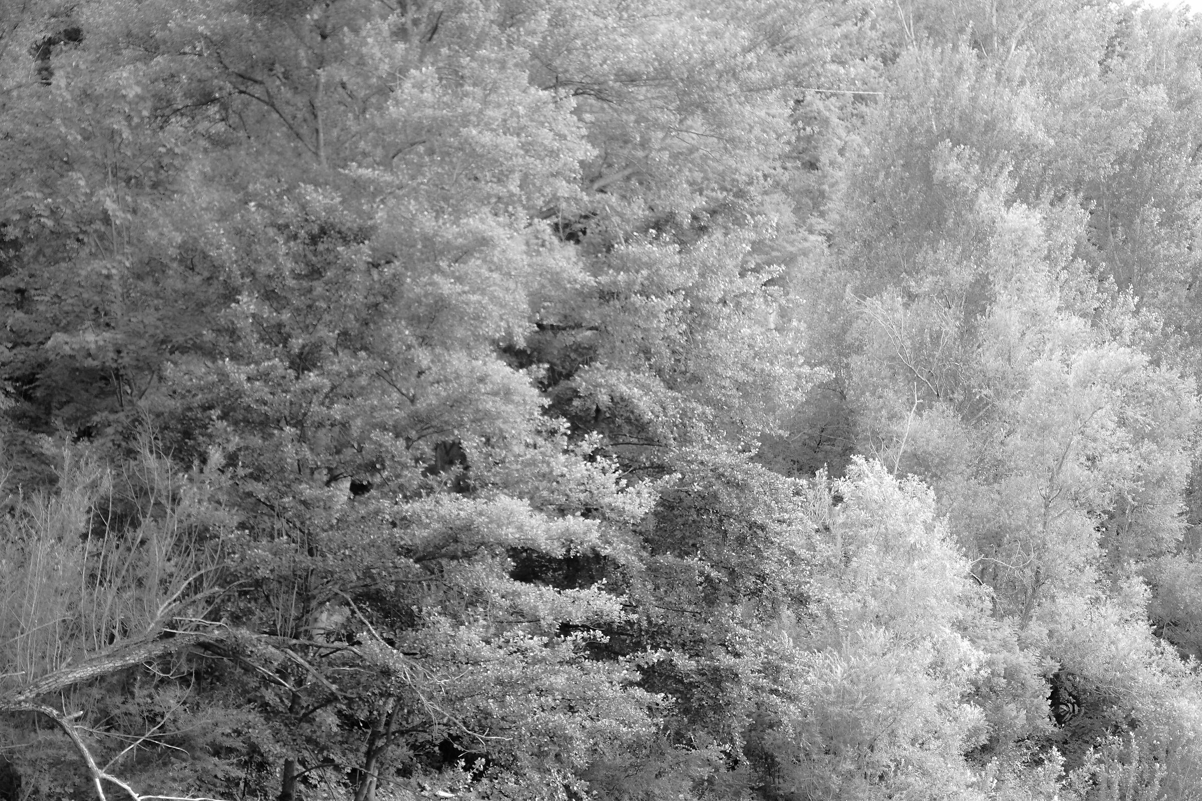 the dance of reality