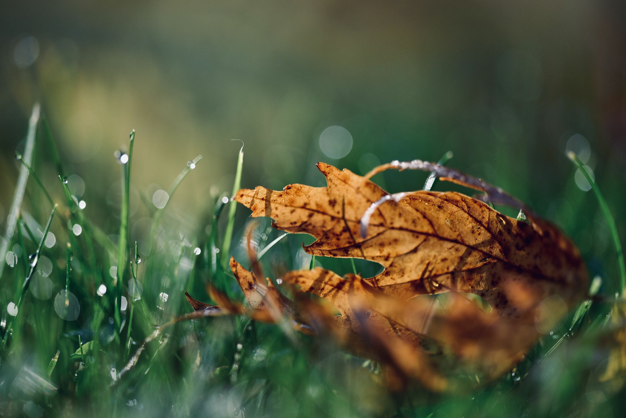L'autunno sta arrivando