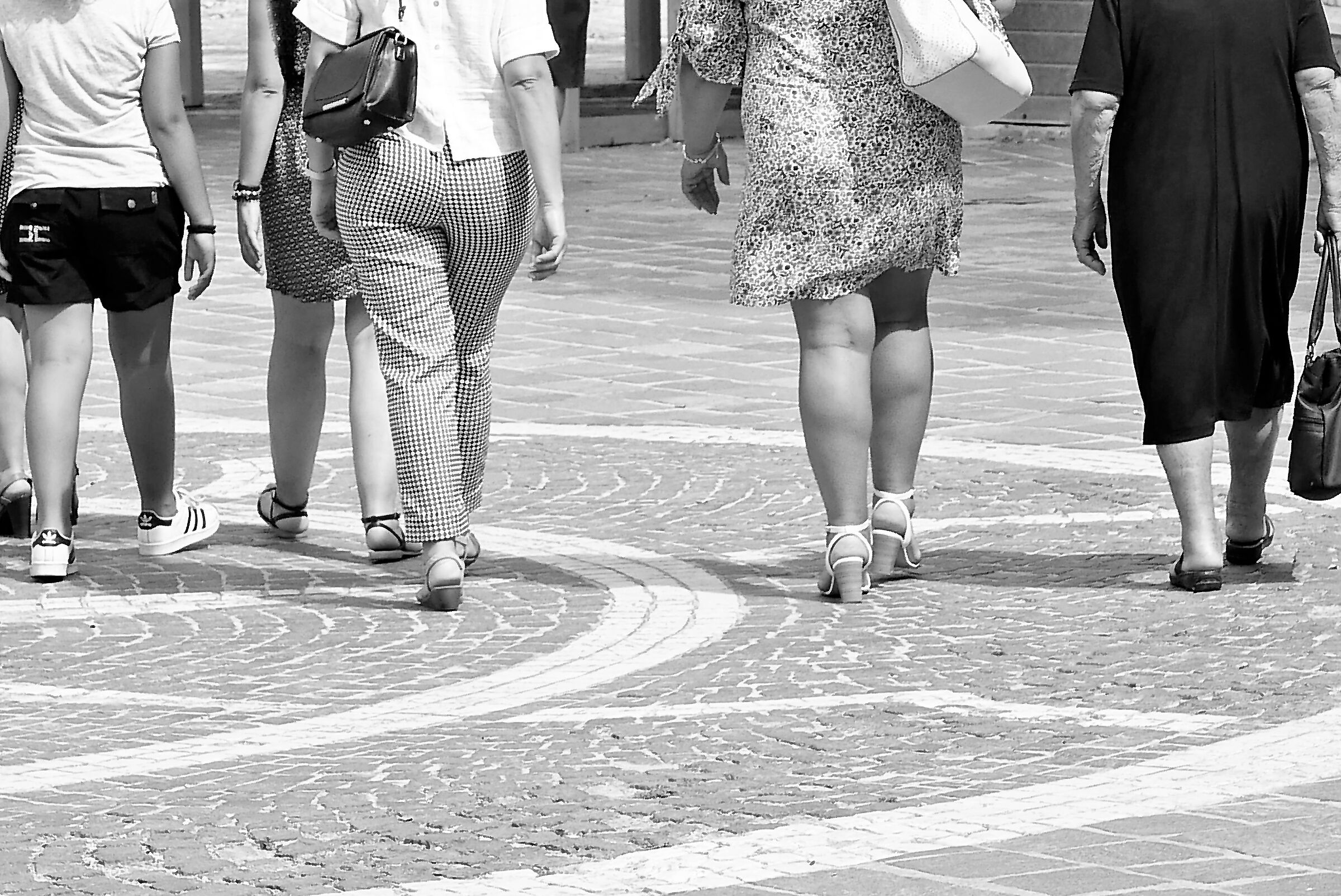 The different ages of life!