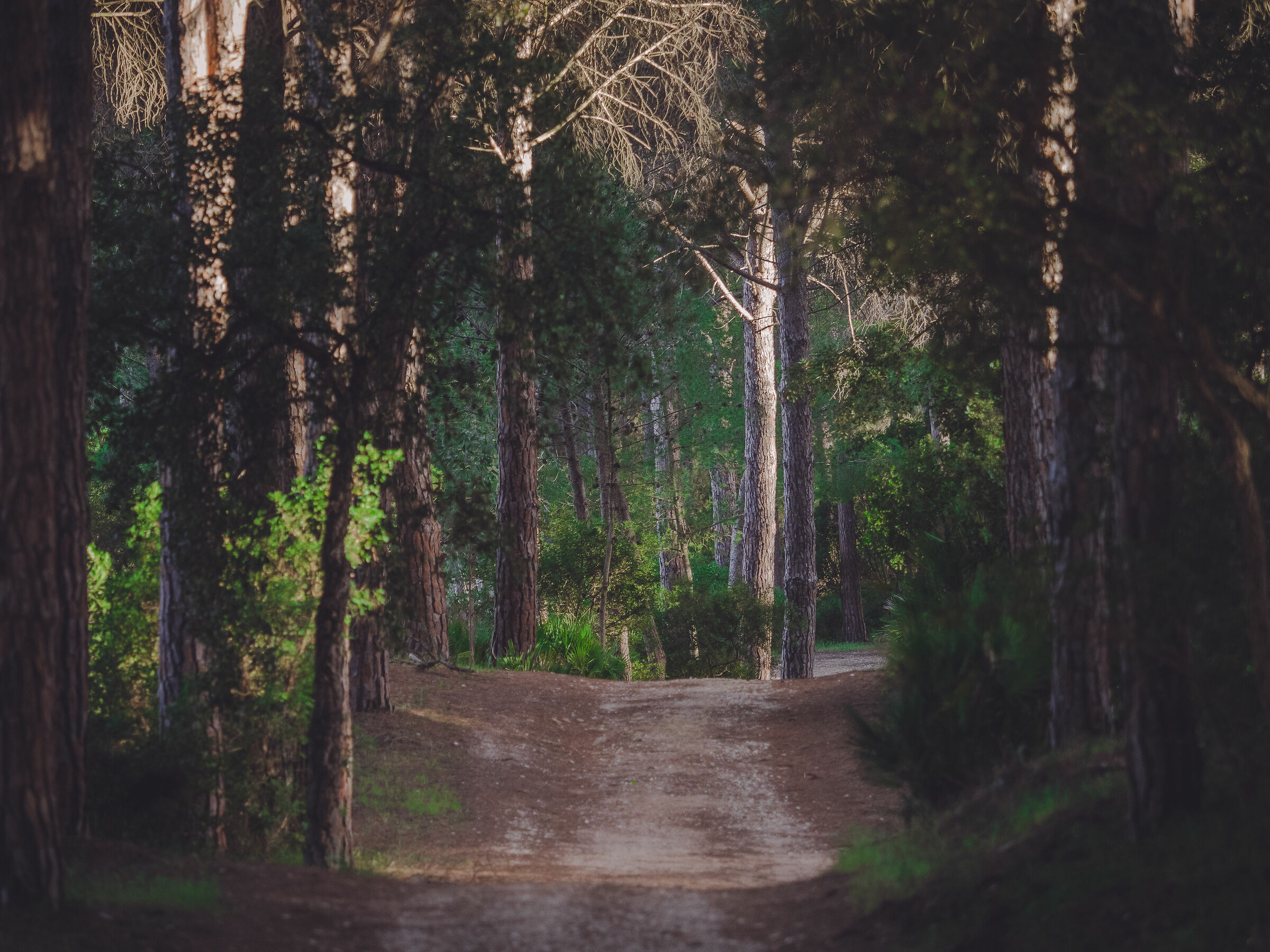 Hidden corners in Sardinia