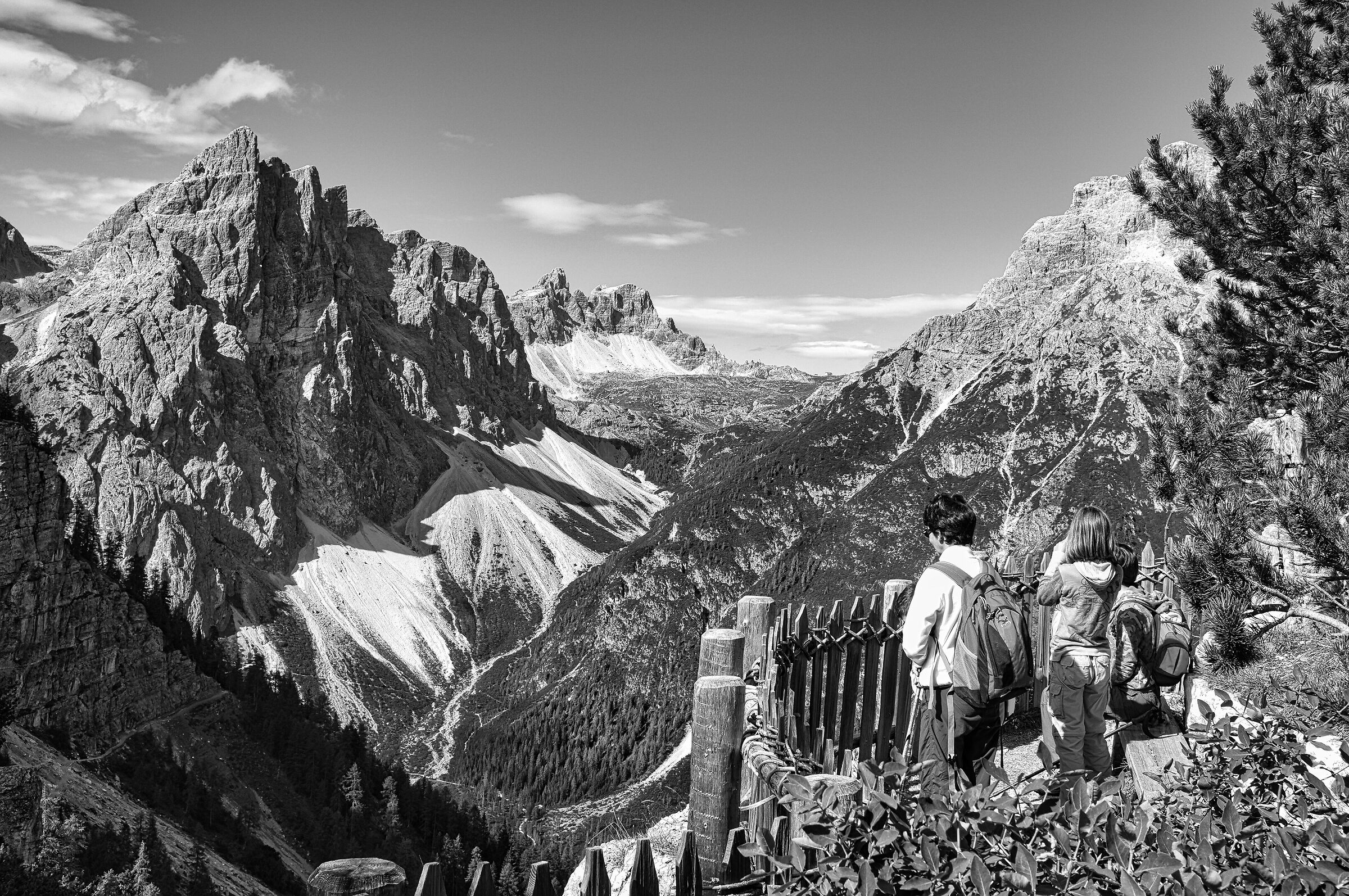 Red Croda Meadows, Sixth Pusteria