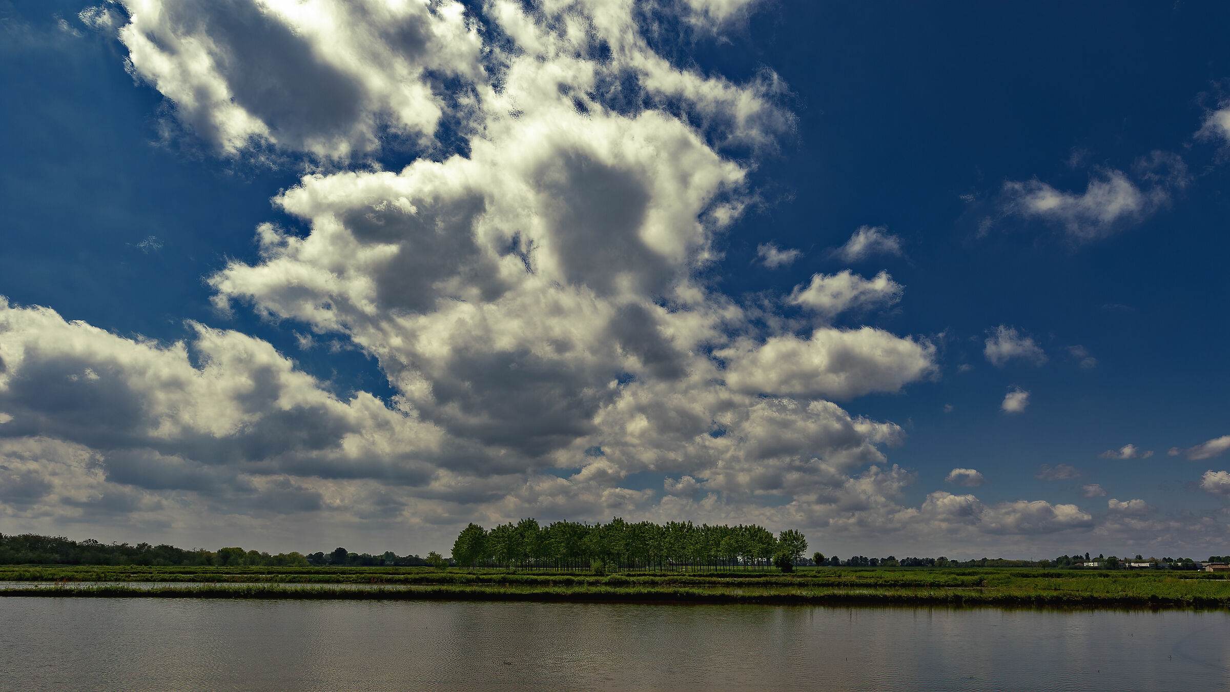 Pioppeto versione Primavera