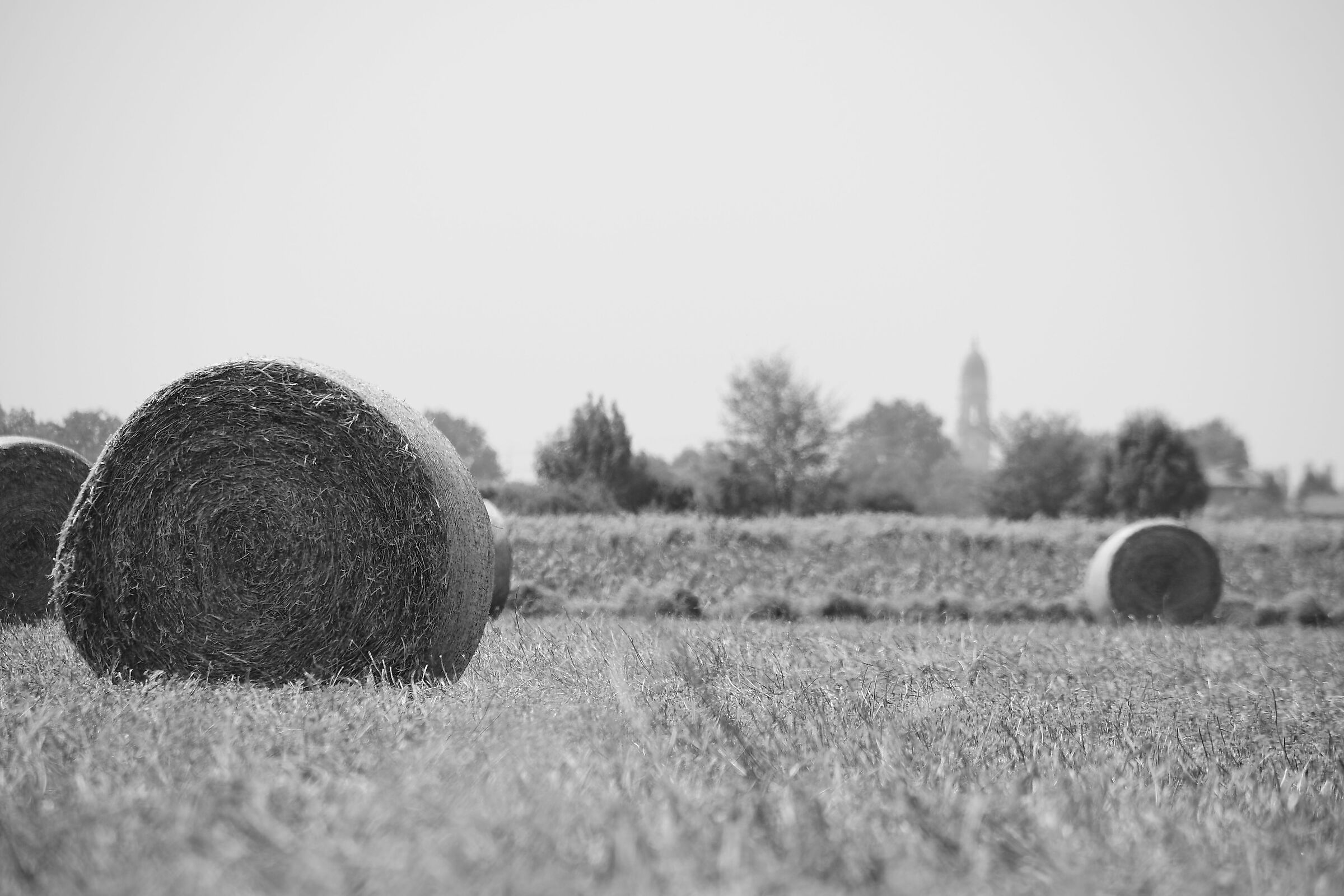 Hay bales