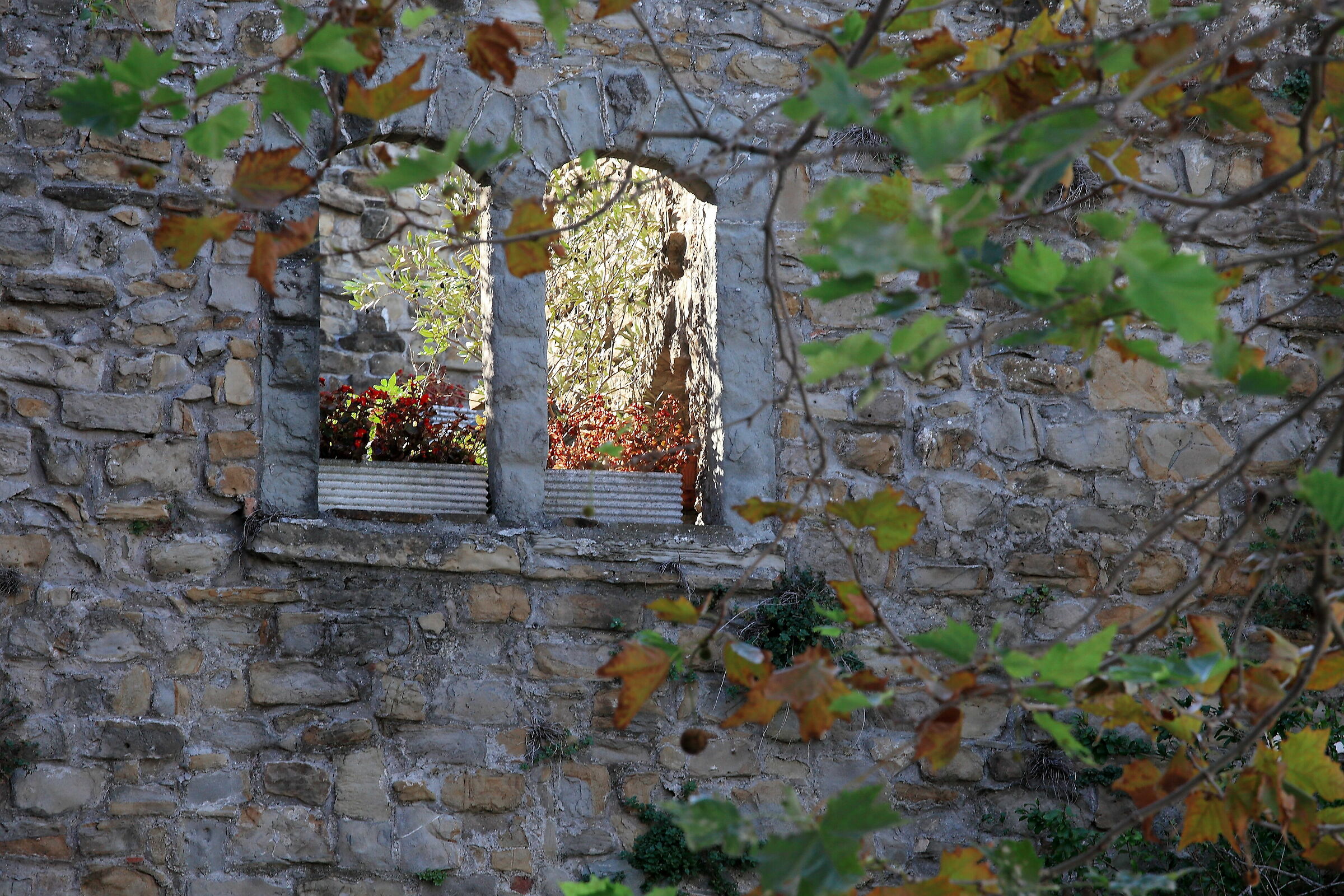 Muggesano glimpse (old walls)
