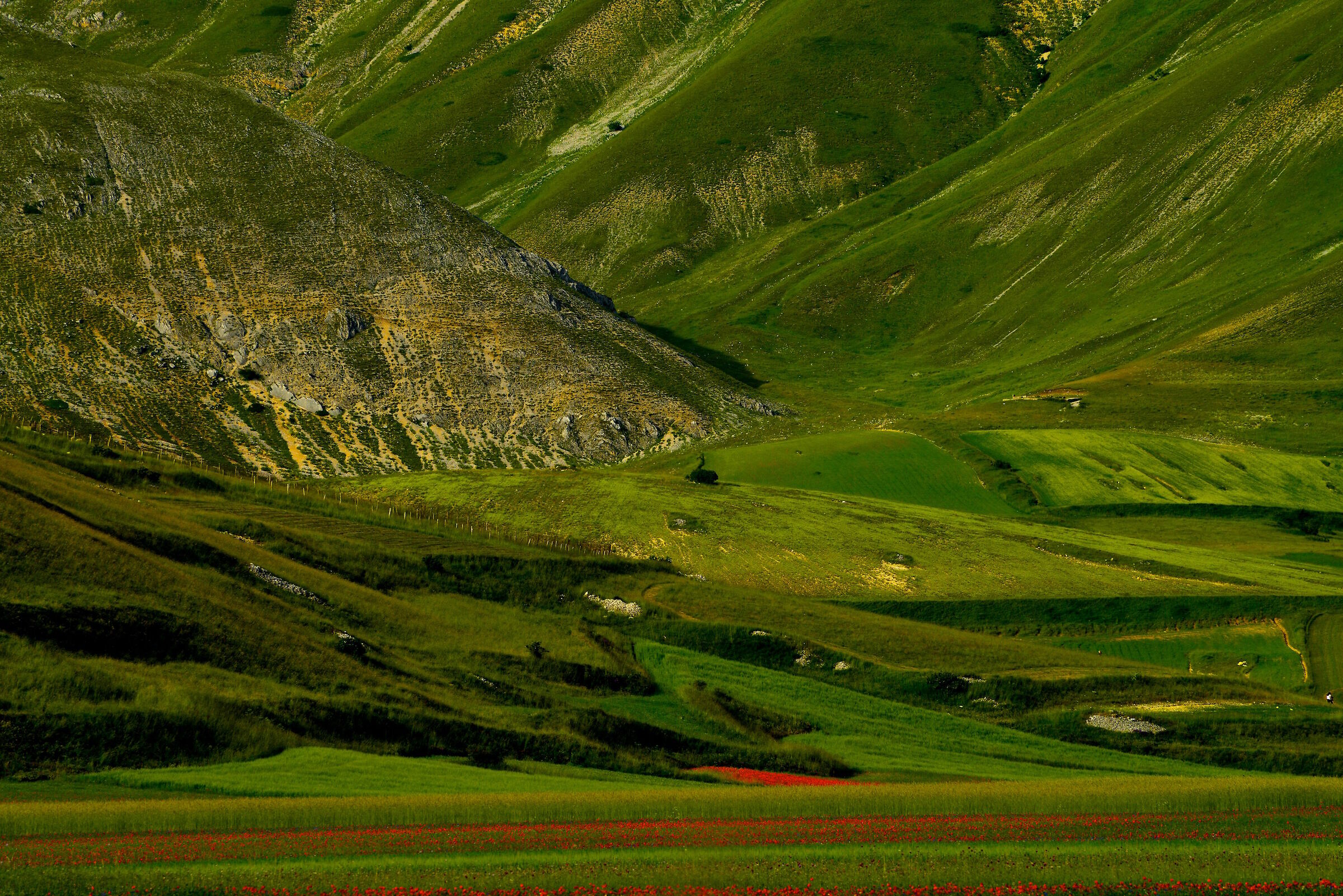 Altopiano di Castelluccio