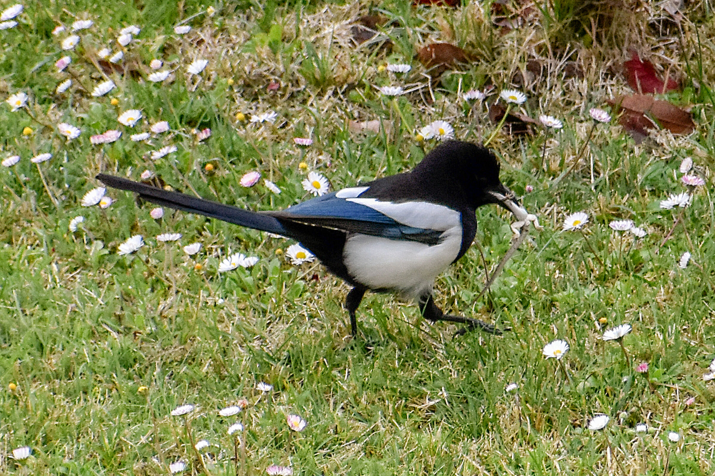 Profitable hunting....