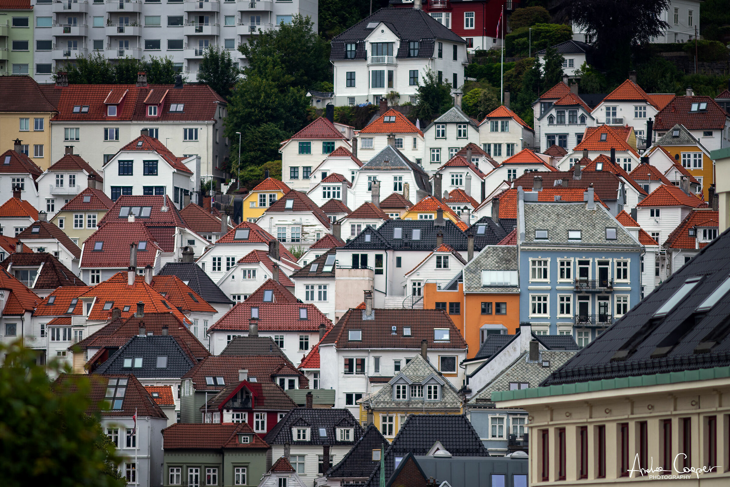 Bergen roofs