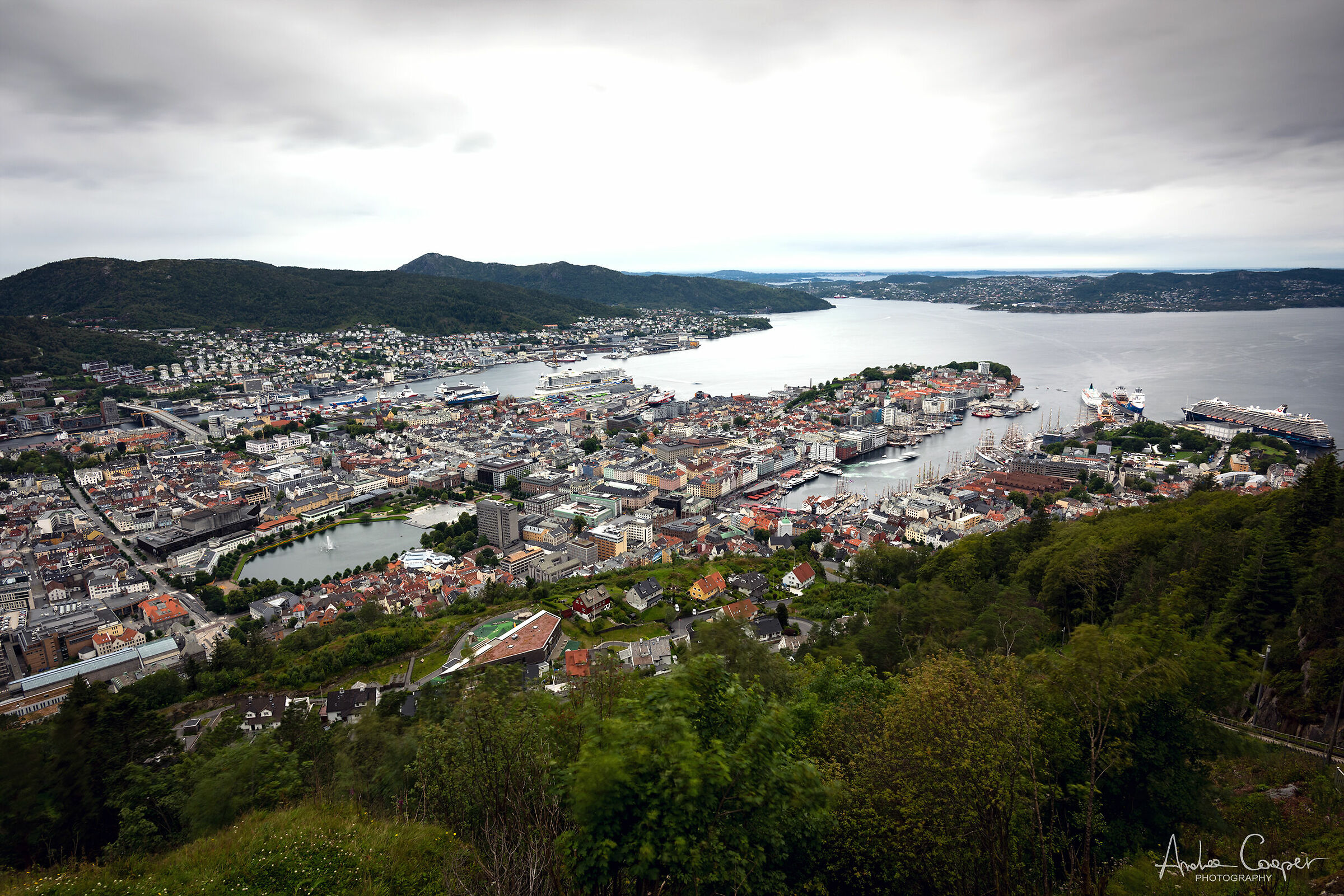 Bergen from top