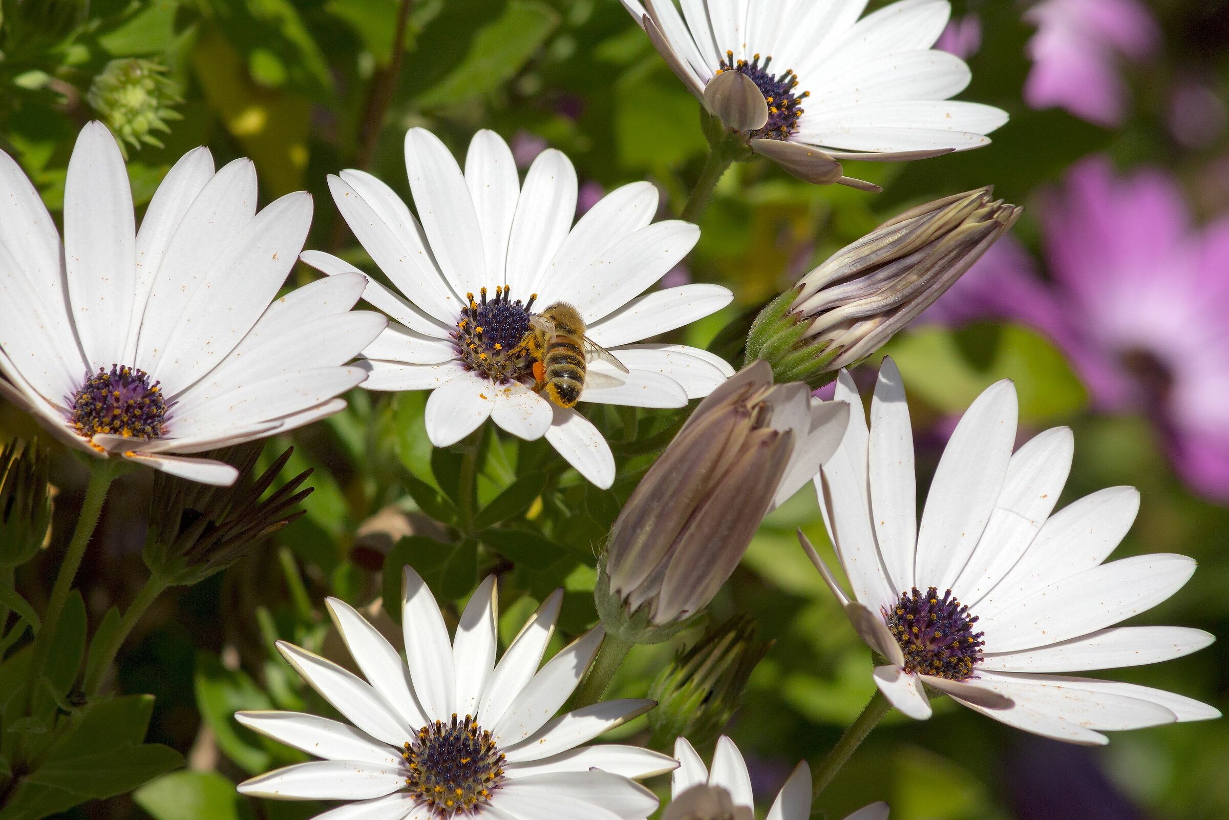 La natura non si ferma!