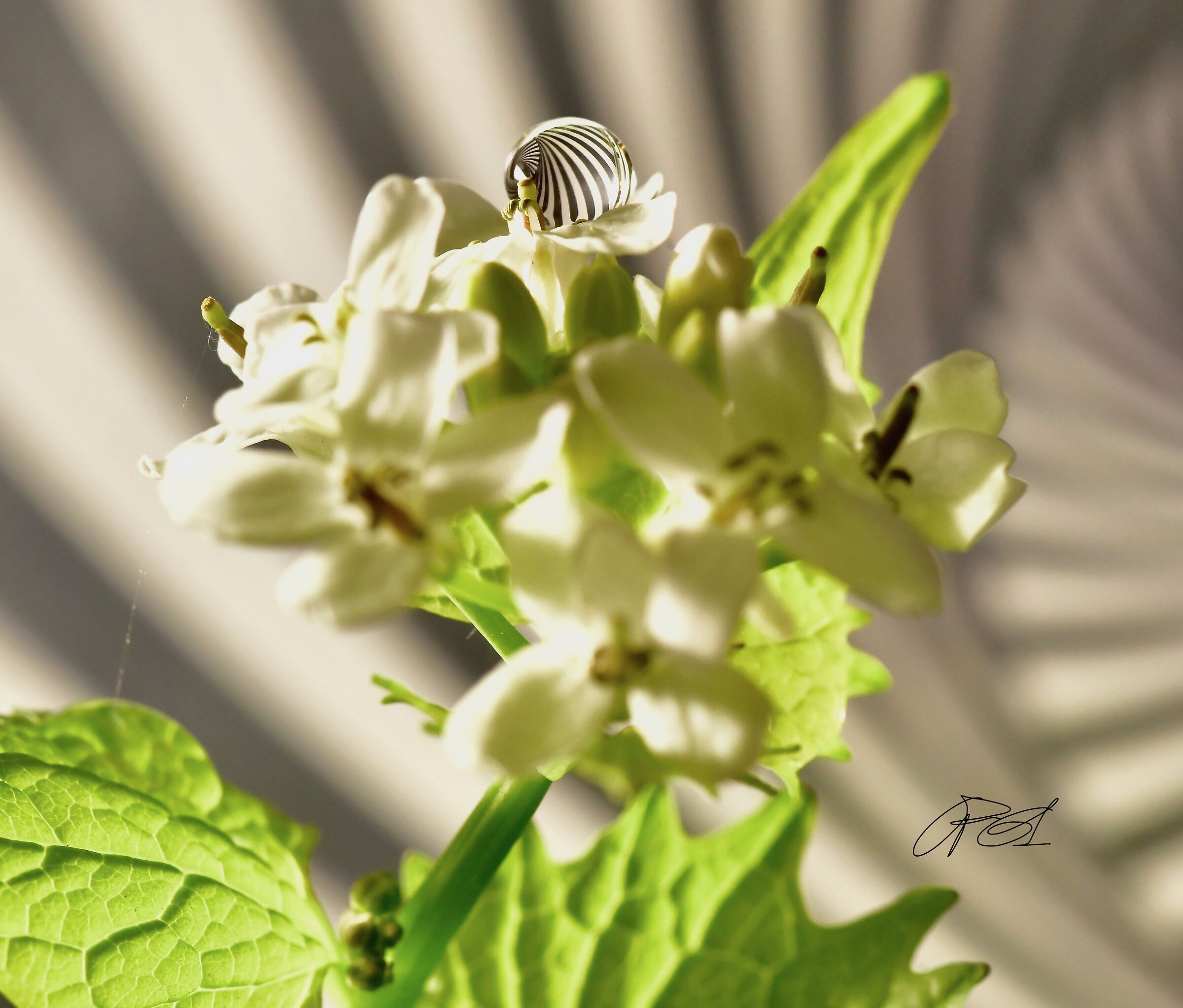 Untitled Photo
