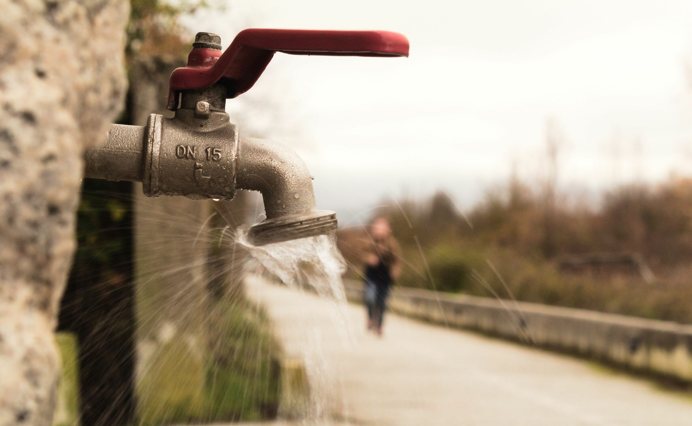 Acqua