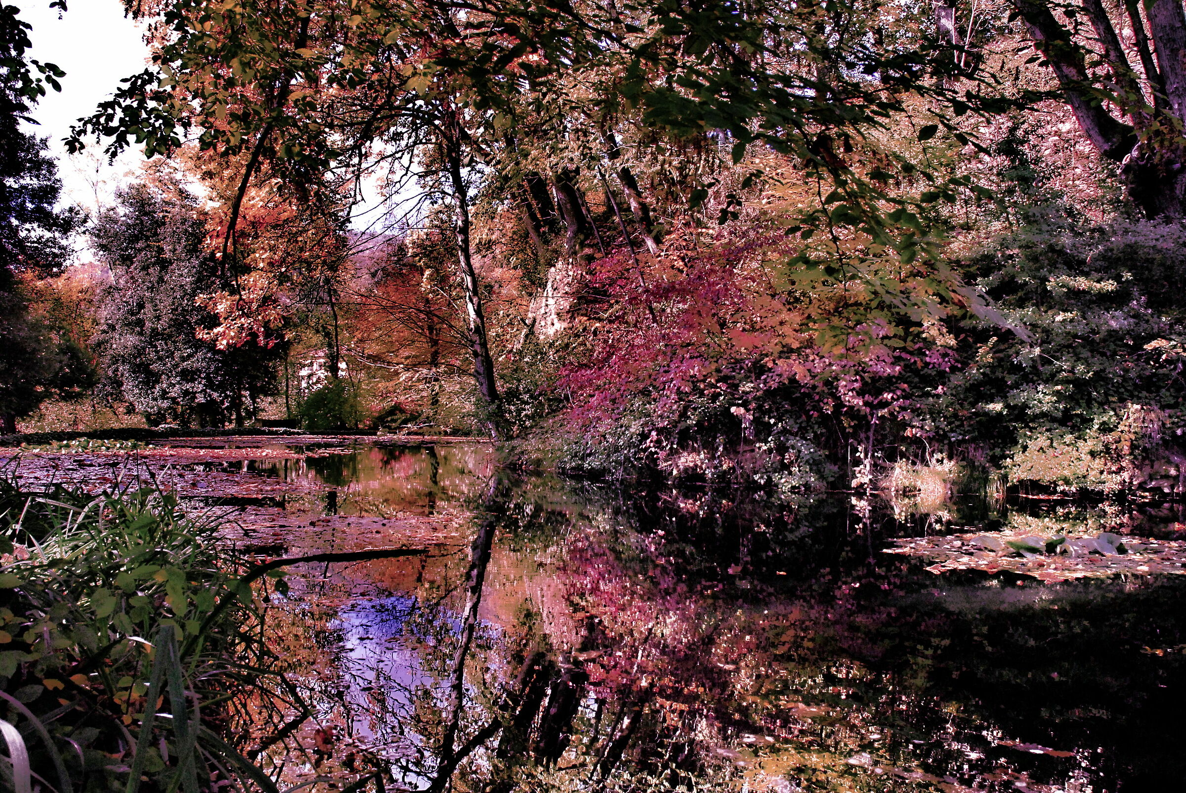 passeggiando per il parco