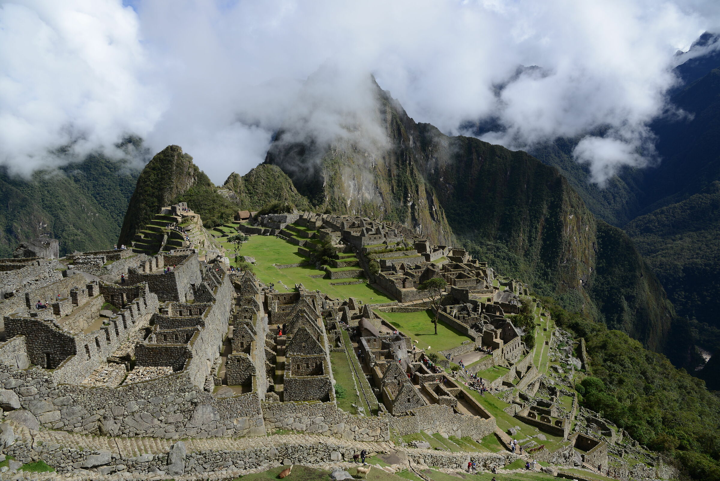 Machu Picchu