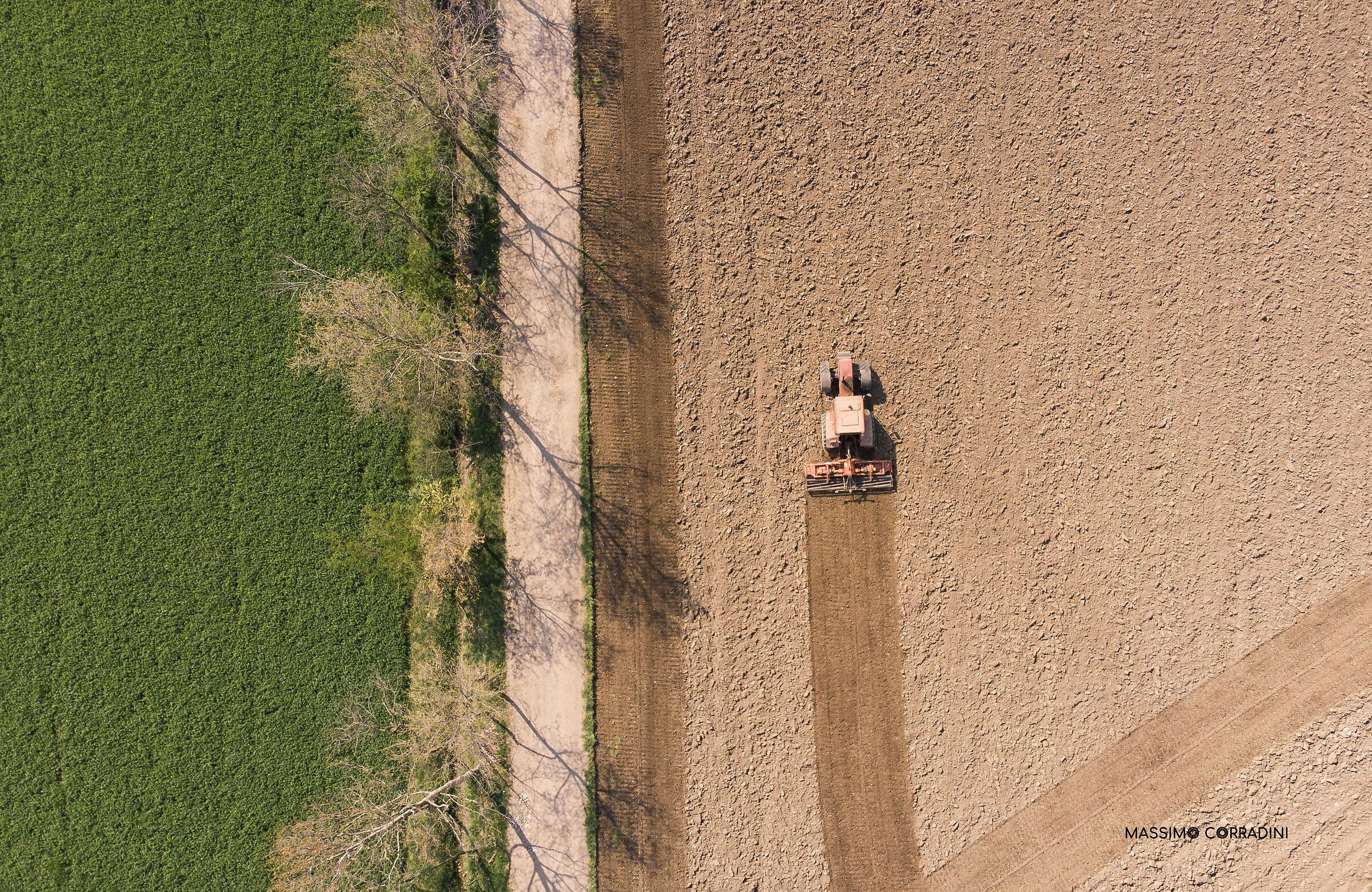 Good thing they're there.