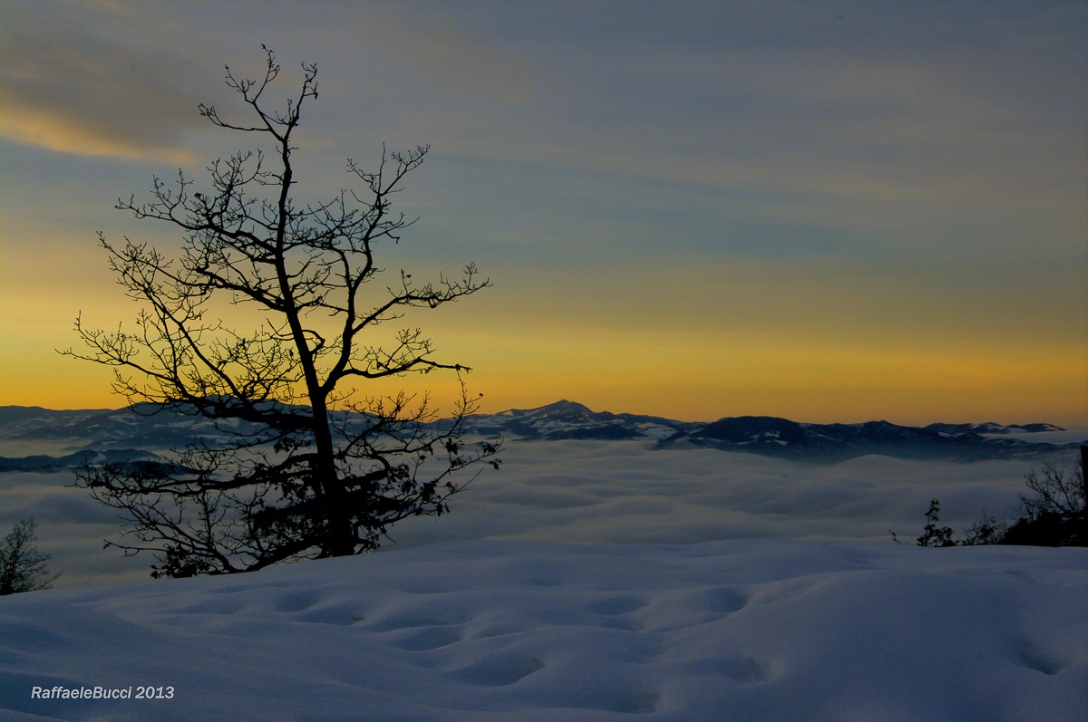 The warmth of the sunset on the cold snow