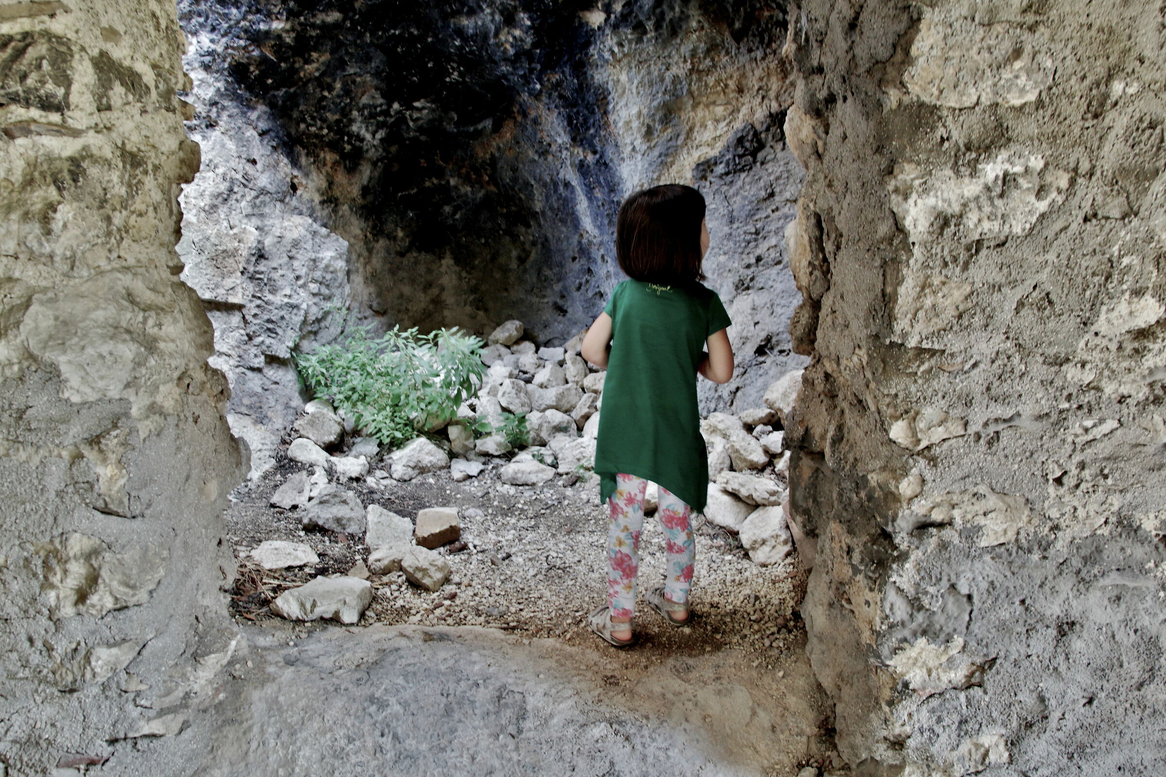 la piccola esploratrice