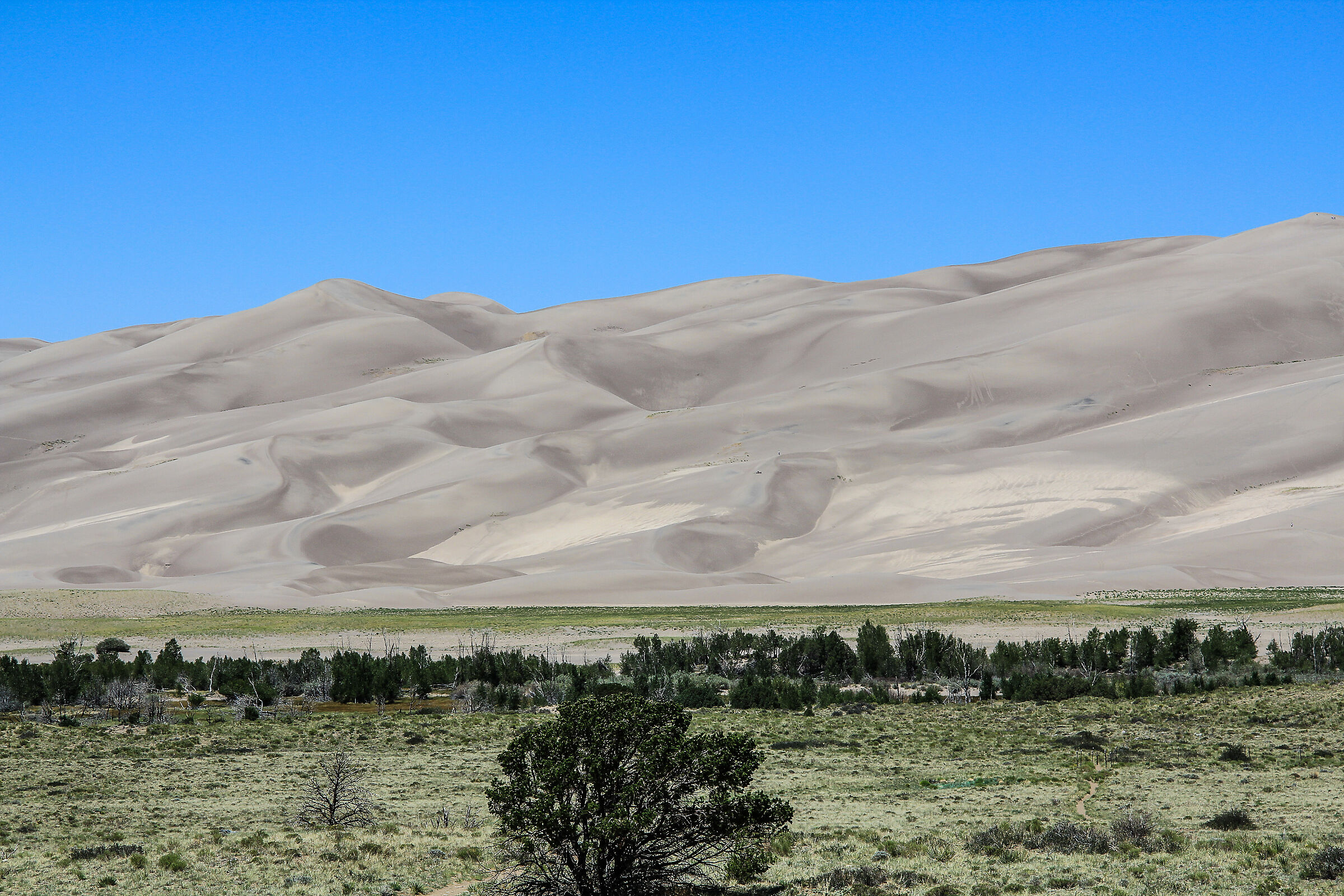 Great Sand Dunes n.p.