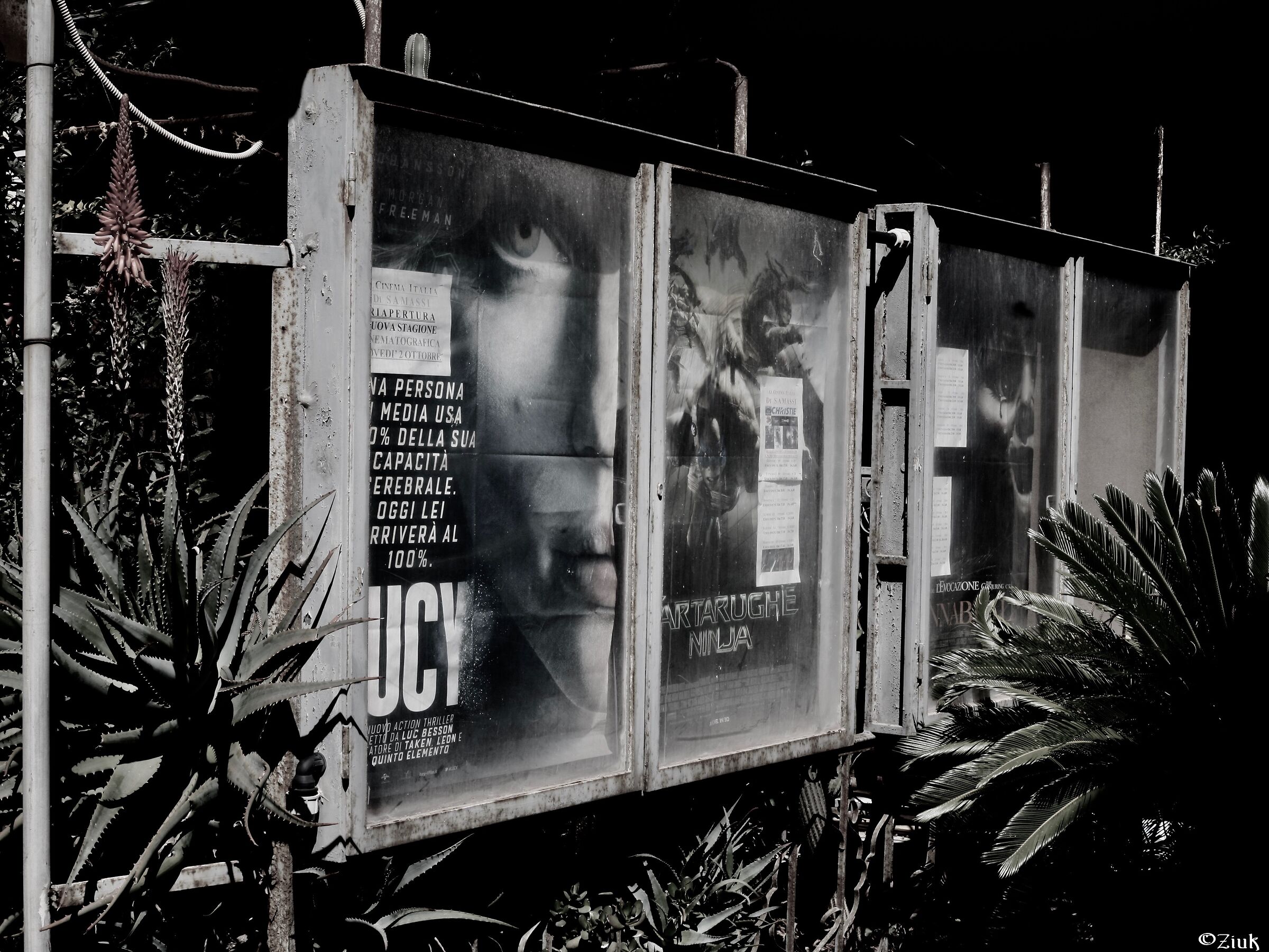 C'era una volta il cinema