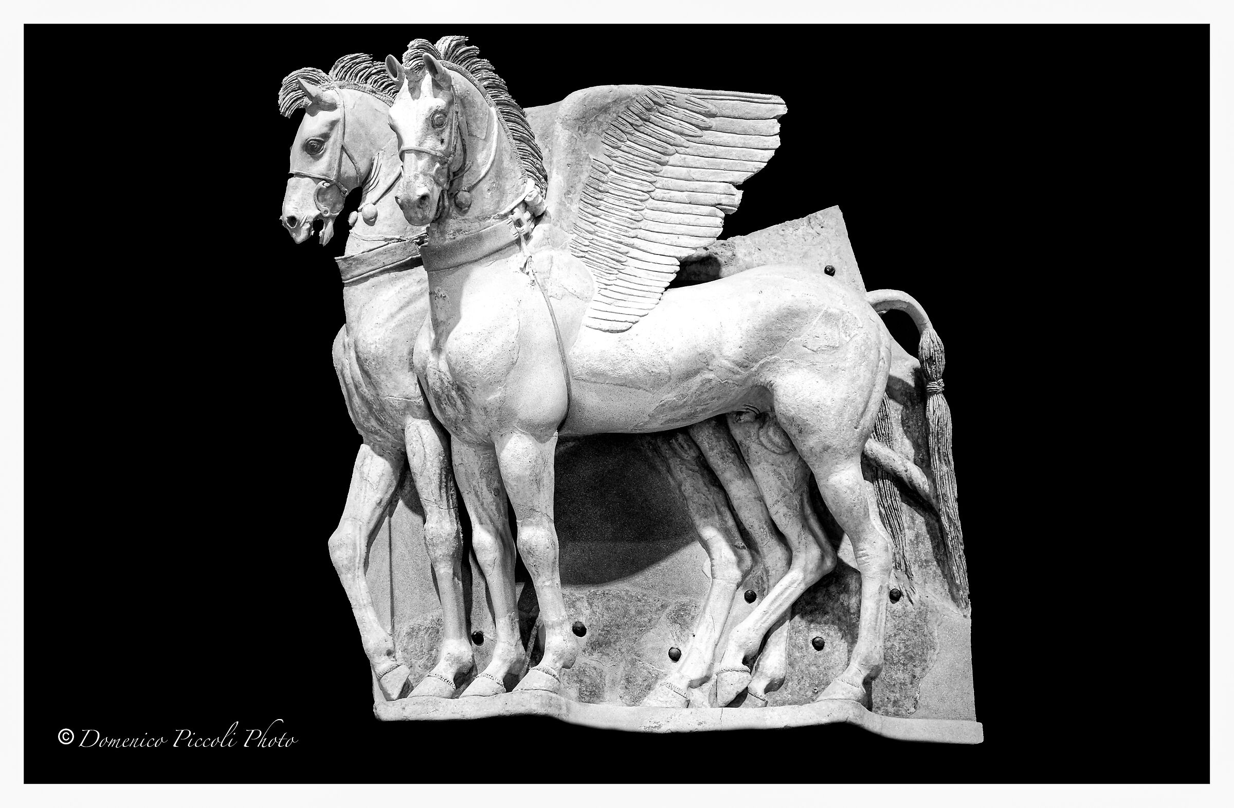 Viterbo-museo Etrusco-Cavalli Alati-