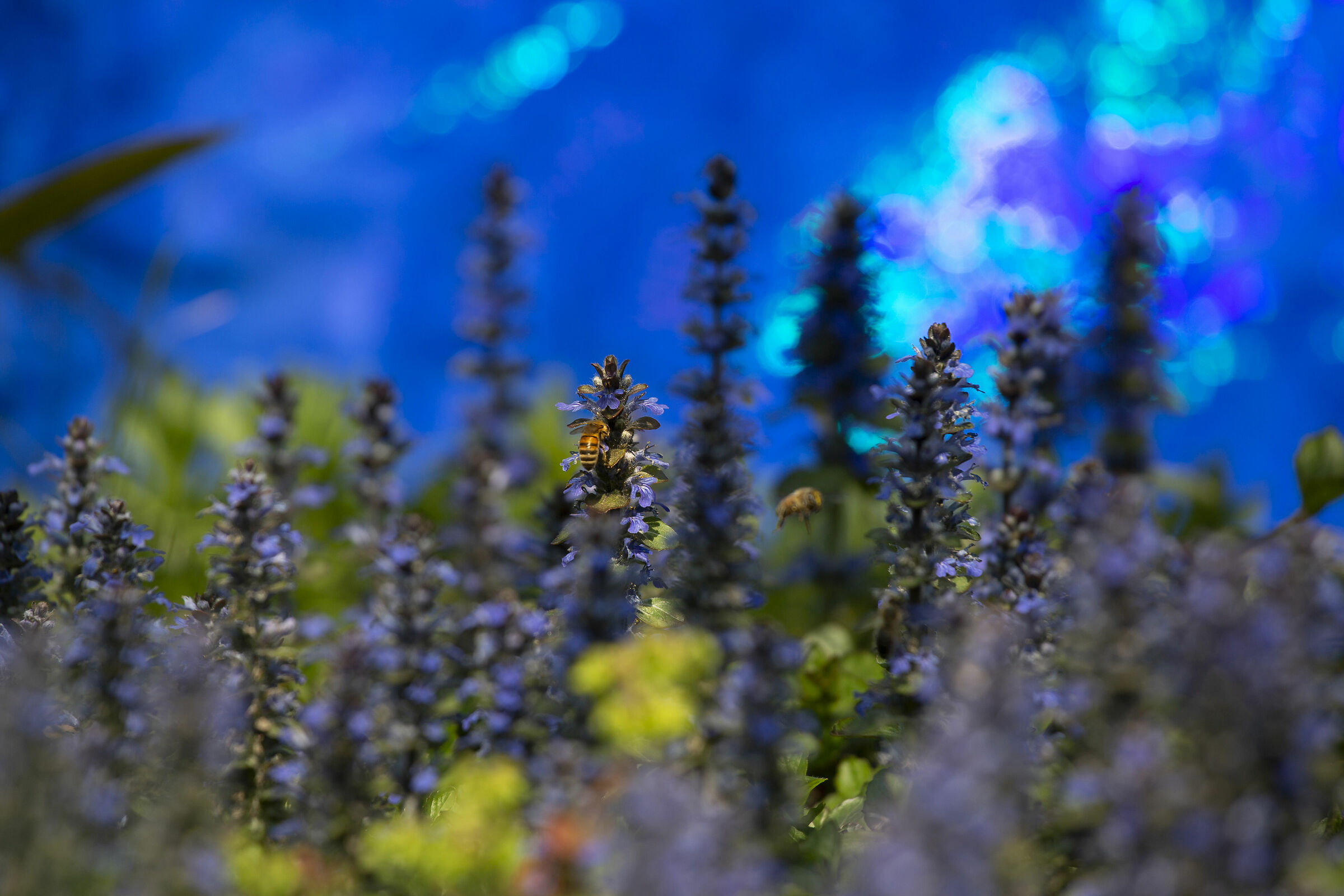 Nature at work
