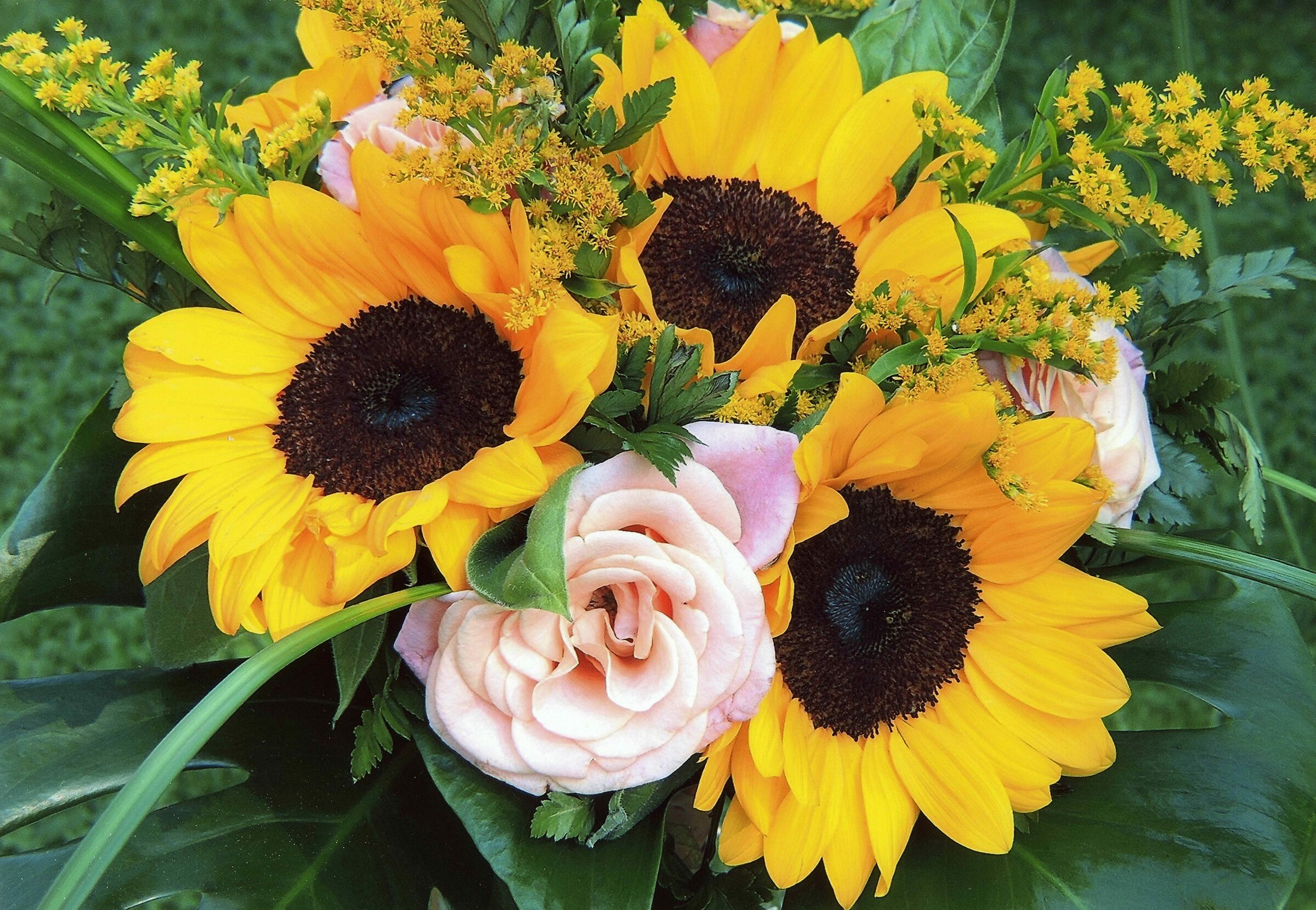 Composizione floreale