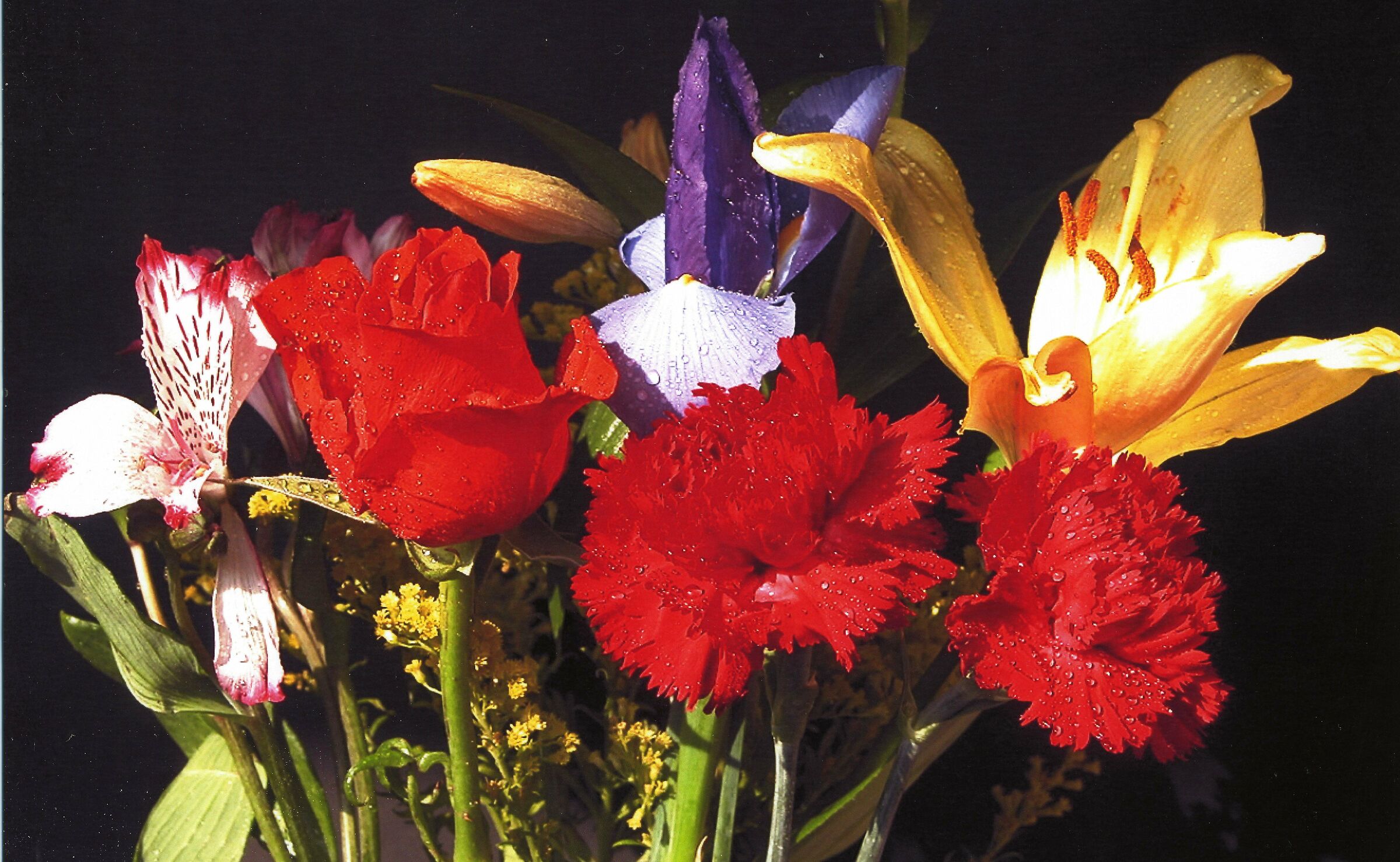 Composizione floreale