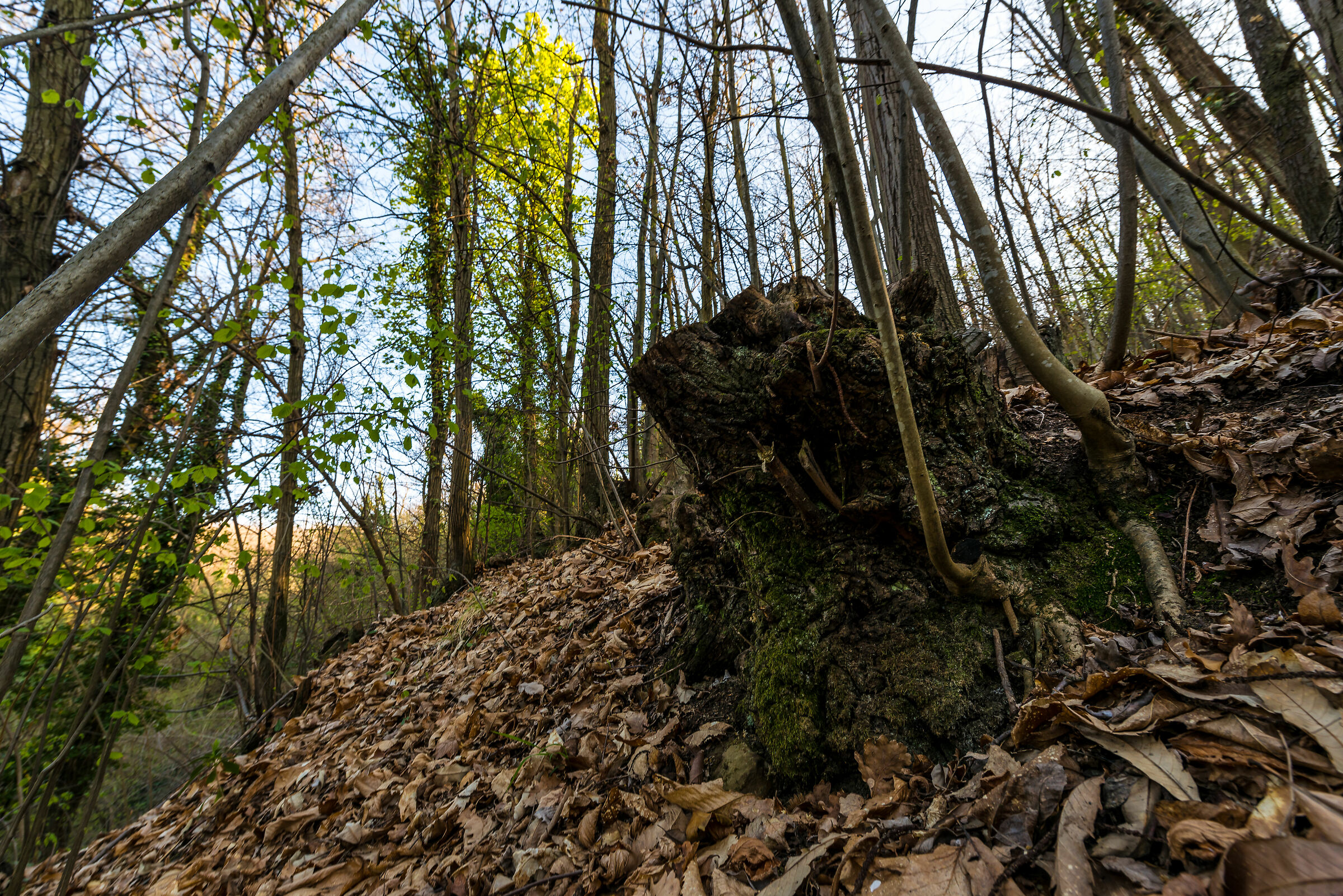 Witnesses of the time