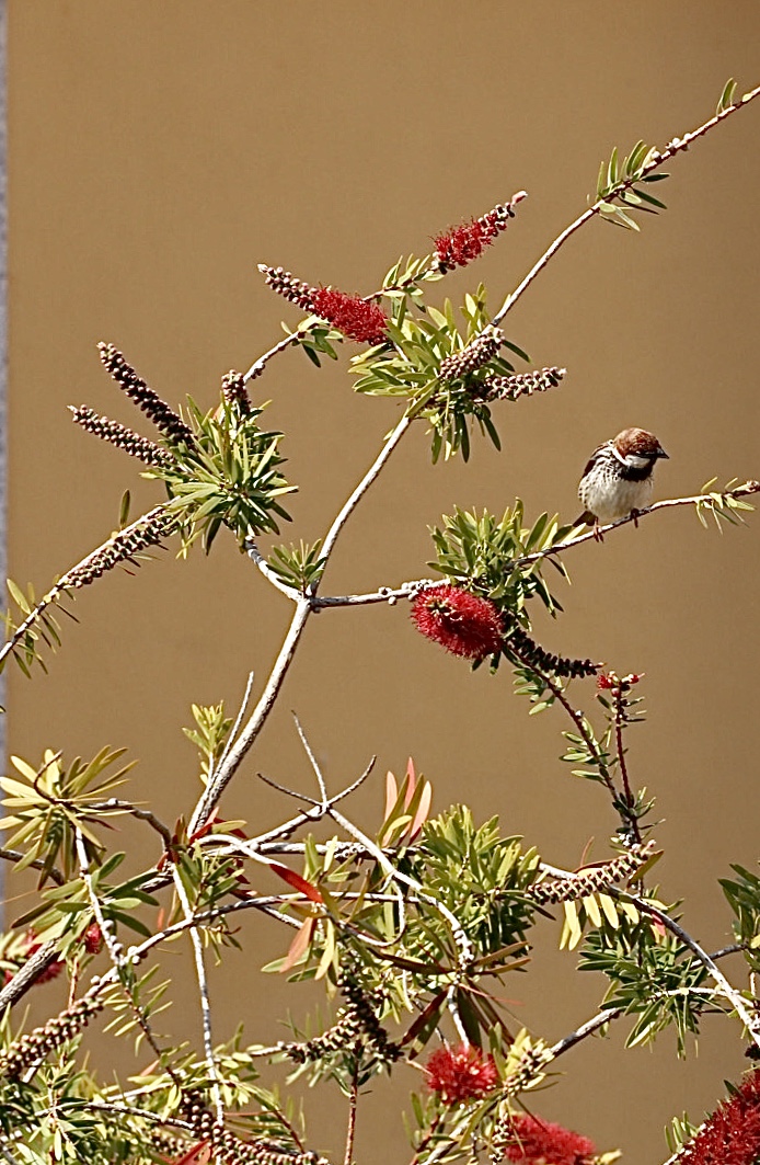 Vieni a trovarmi tutti i giorni