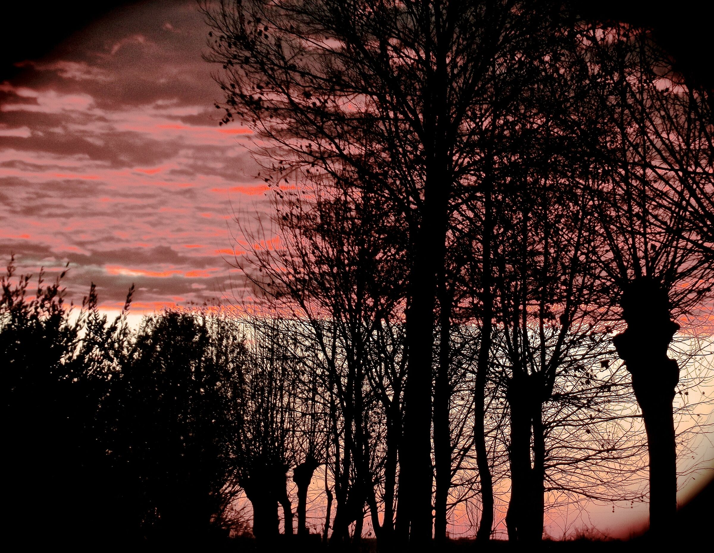 Alba d'inverno