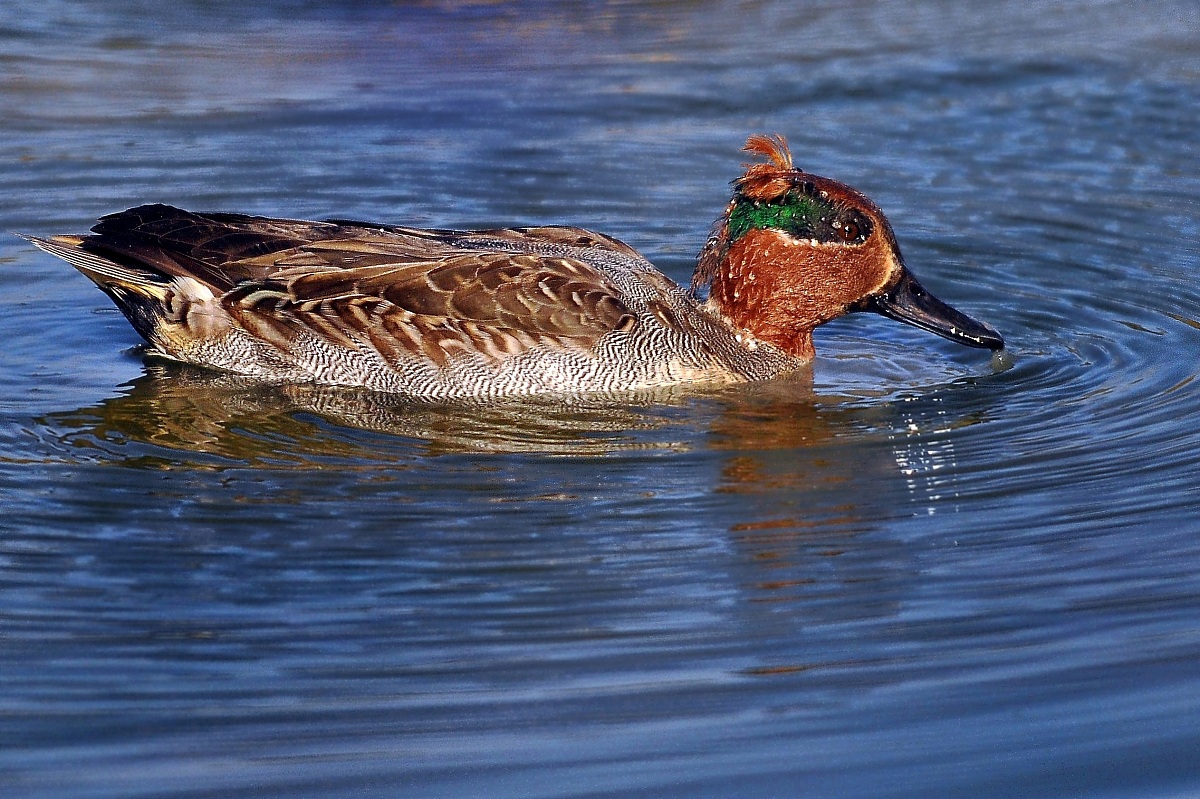 today I have a devil for hair!