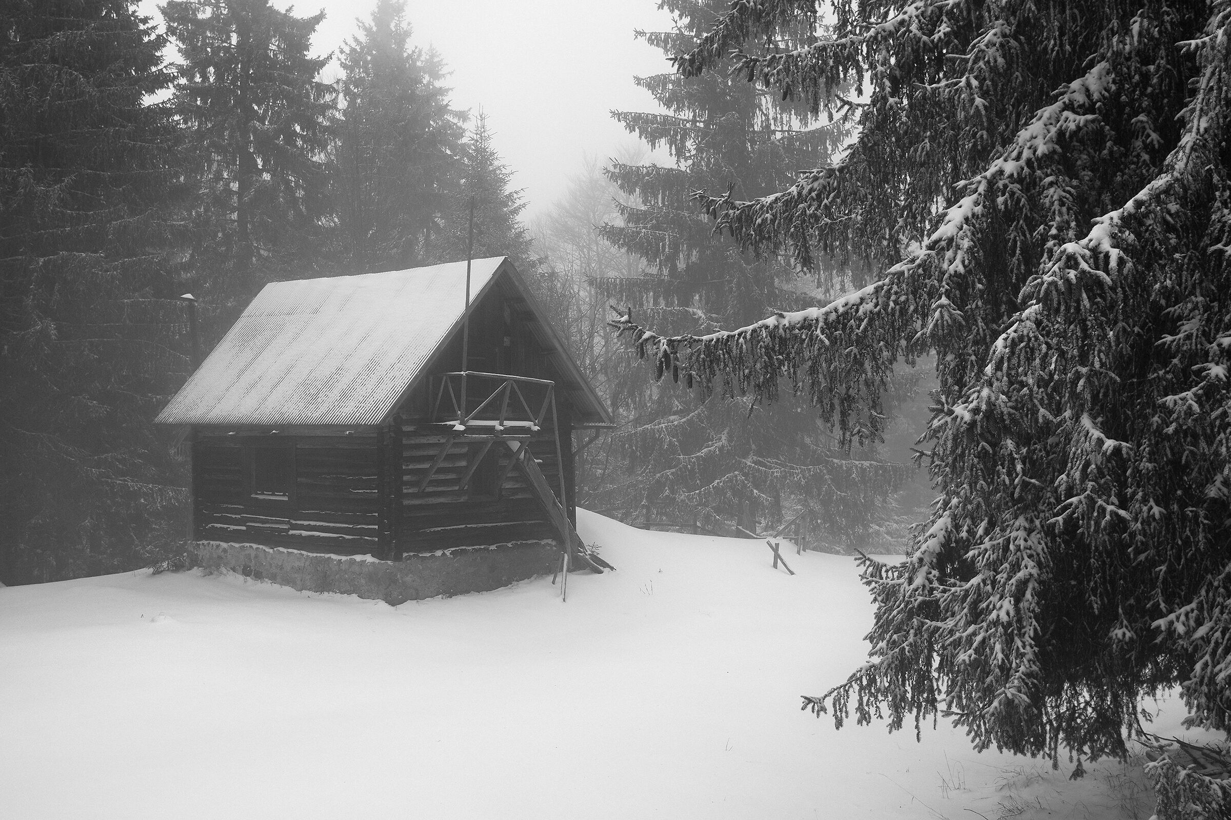 Primavera in veste invernale