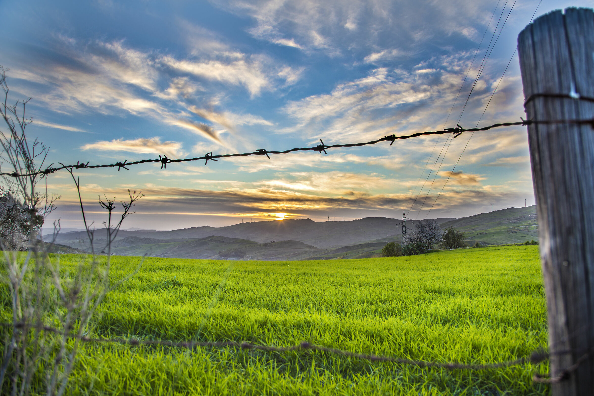 Dietro quel filo spinato che la vita...