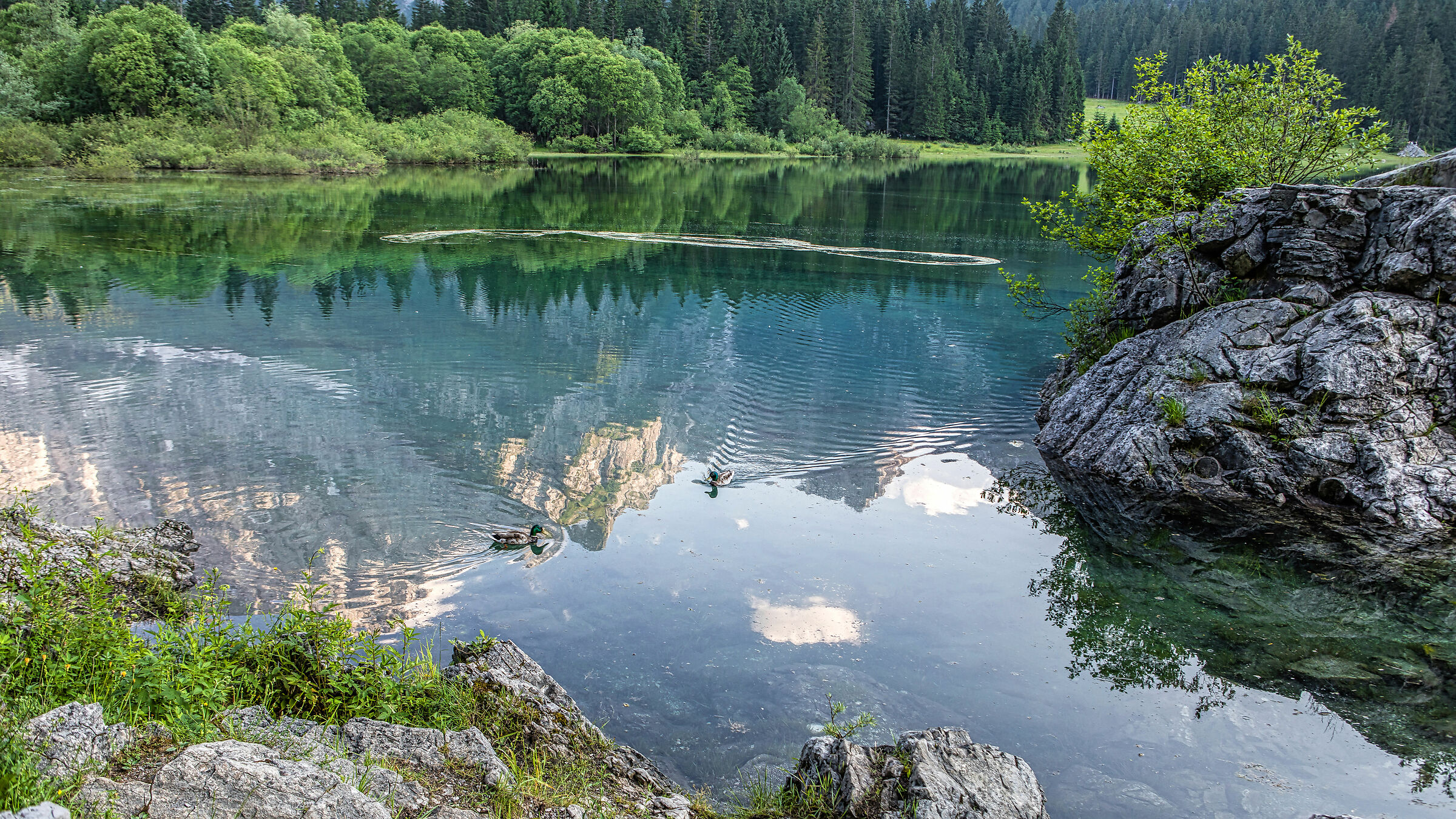 a fusine superiore